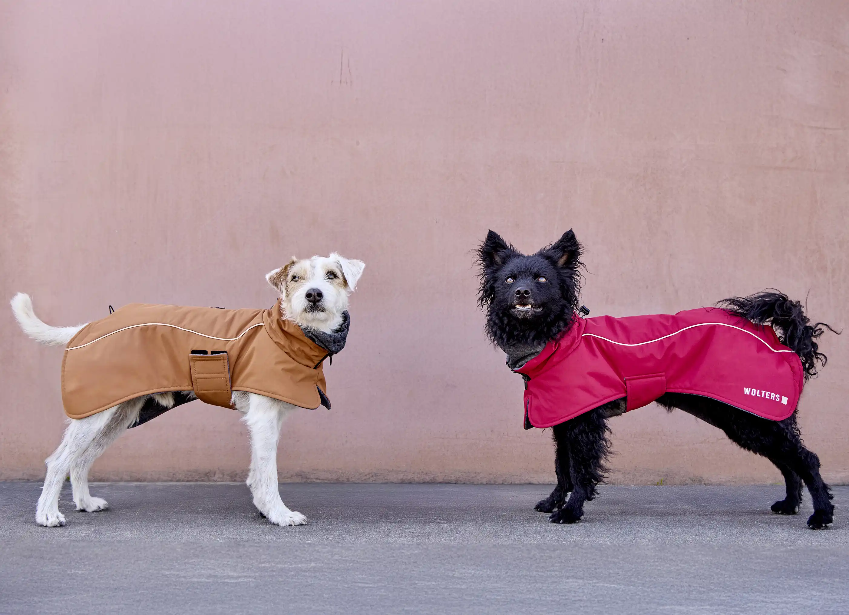 Regenjacken für Hunde