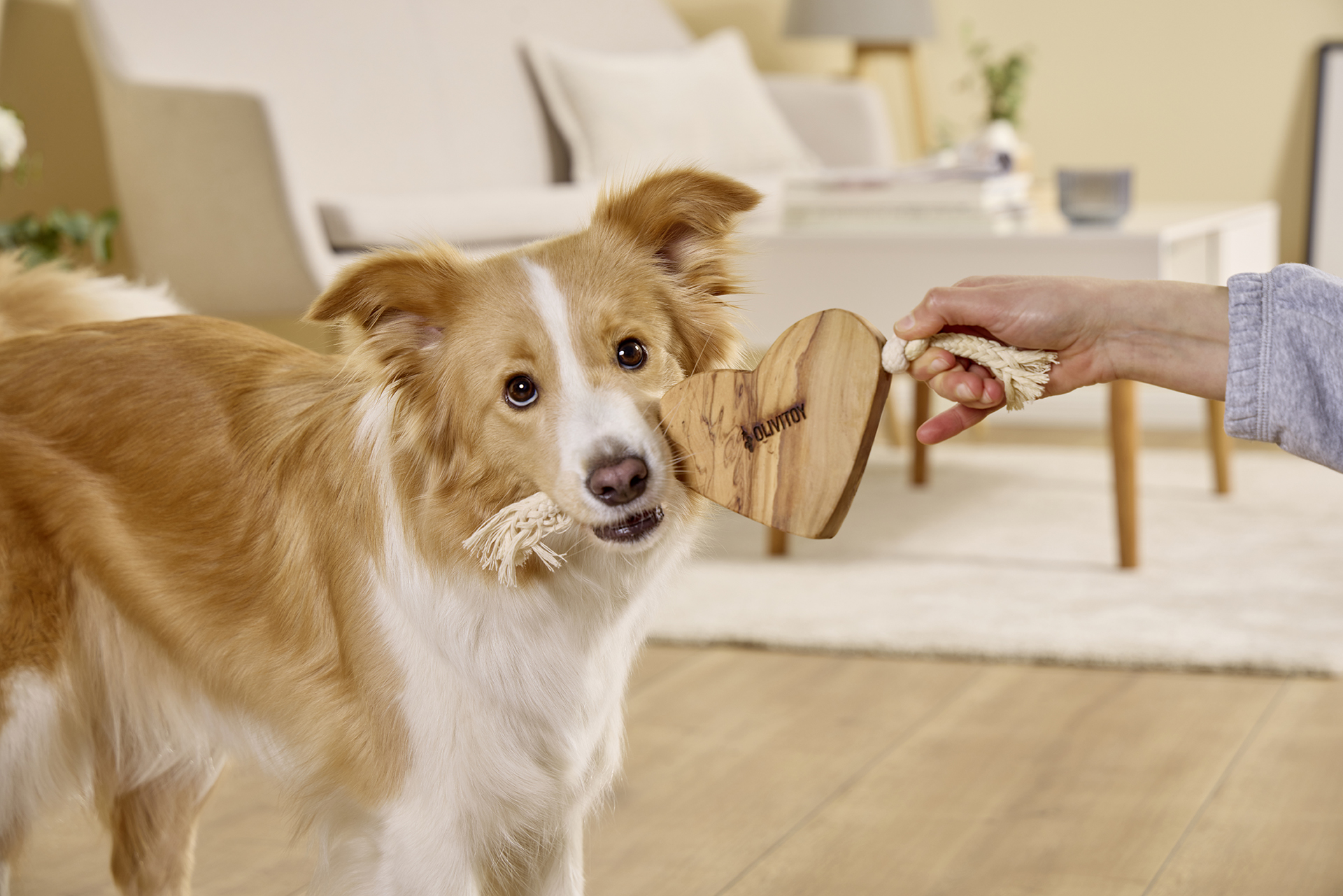  WOLTERS cat & dog GmbH