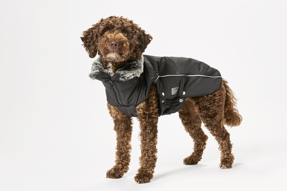 Amundsen Winter Jacket