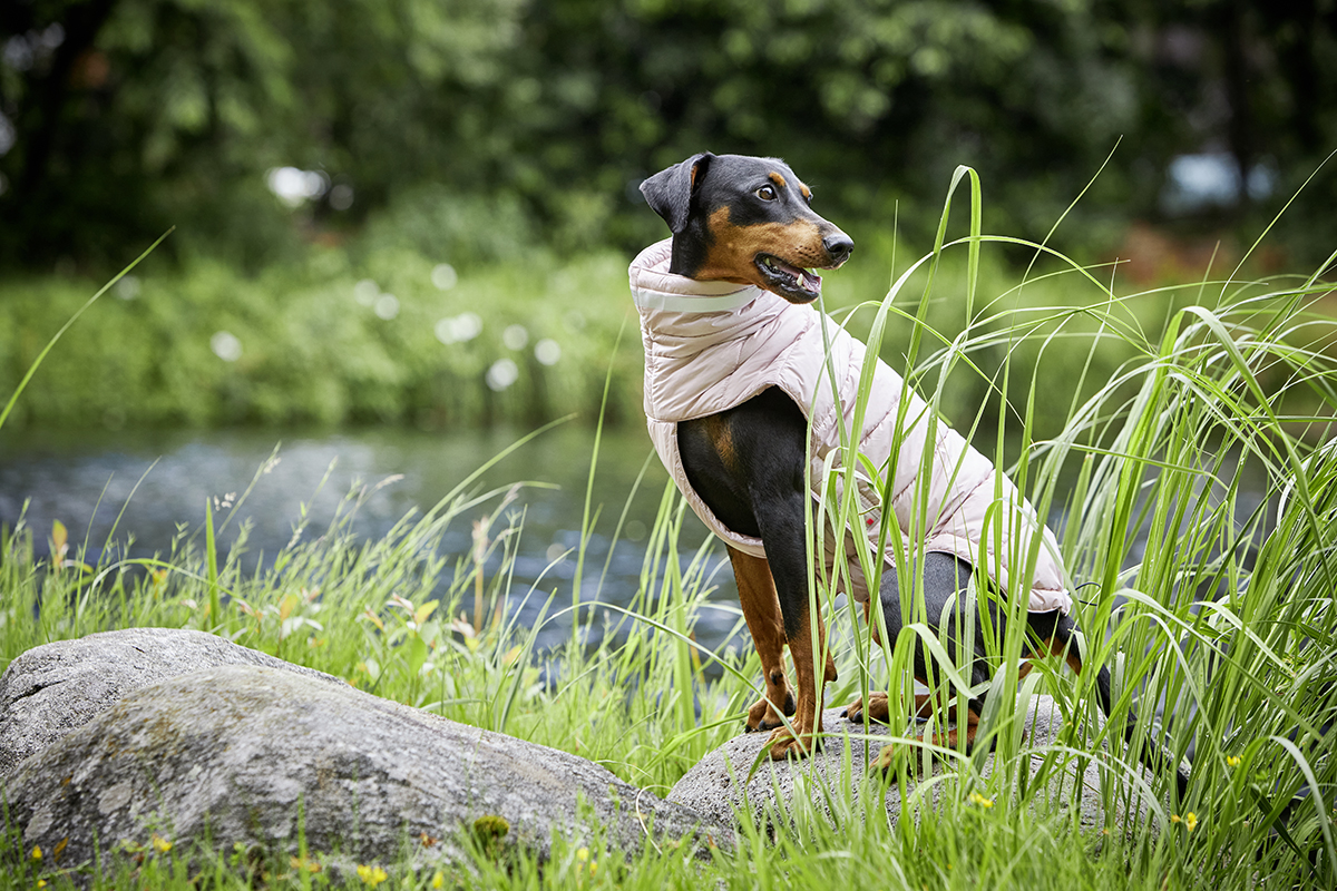 Steppjacke Cosy