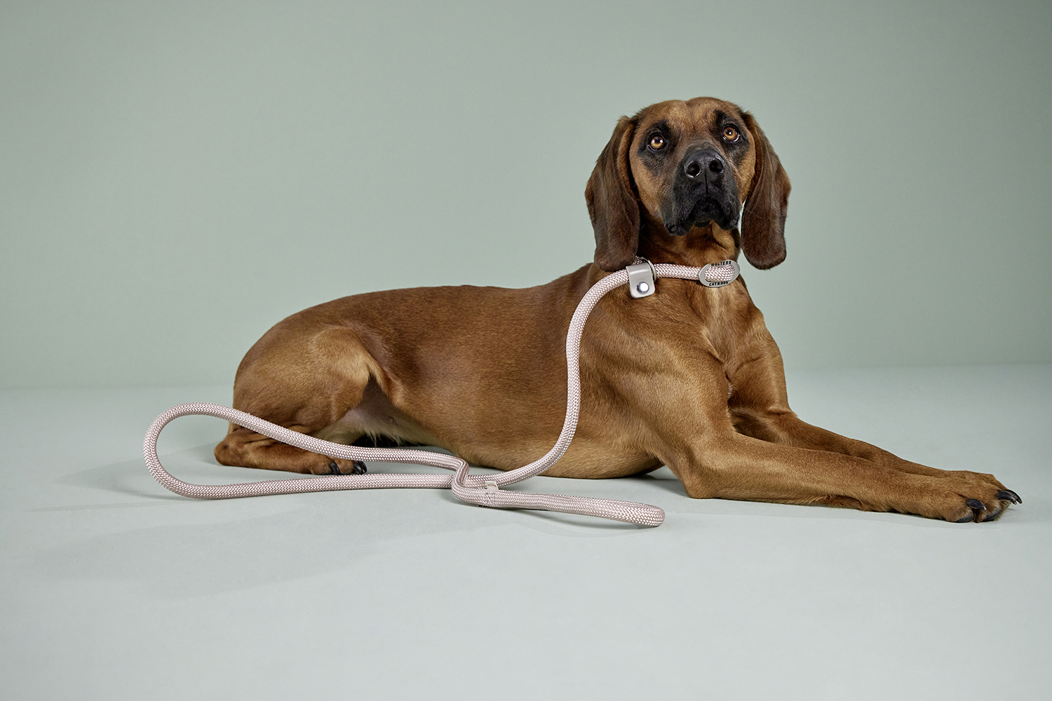 K2-Tauprogramm Moxonleine WOLTERS cat & dog GmbH
