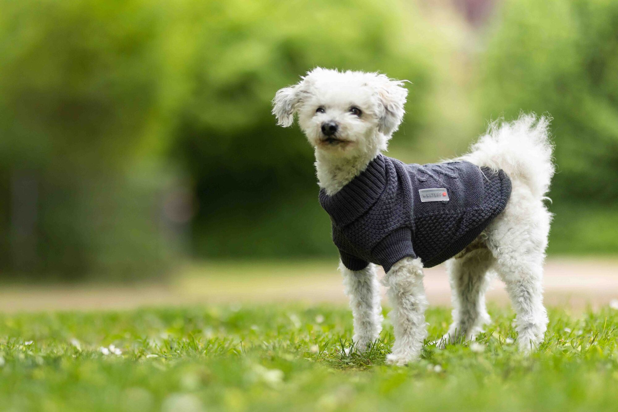 Knitted Jumper Tristan