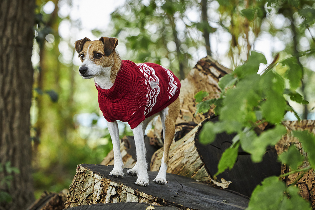  WOLTERS cat & dog GmbH