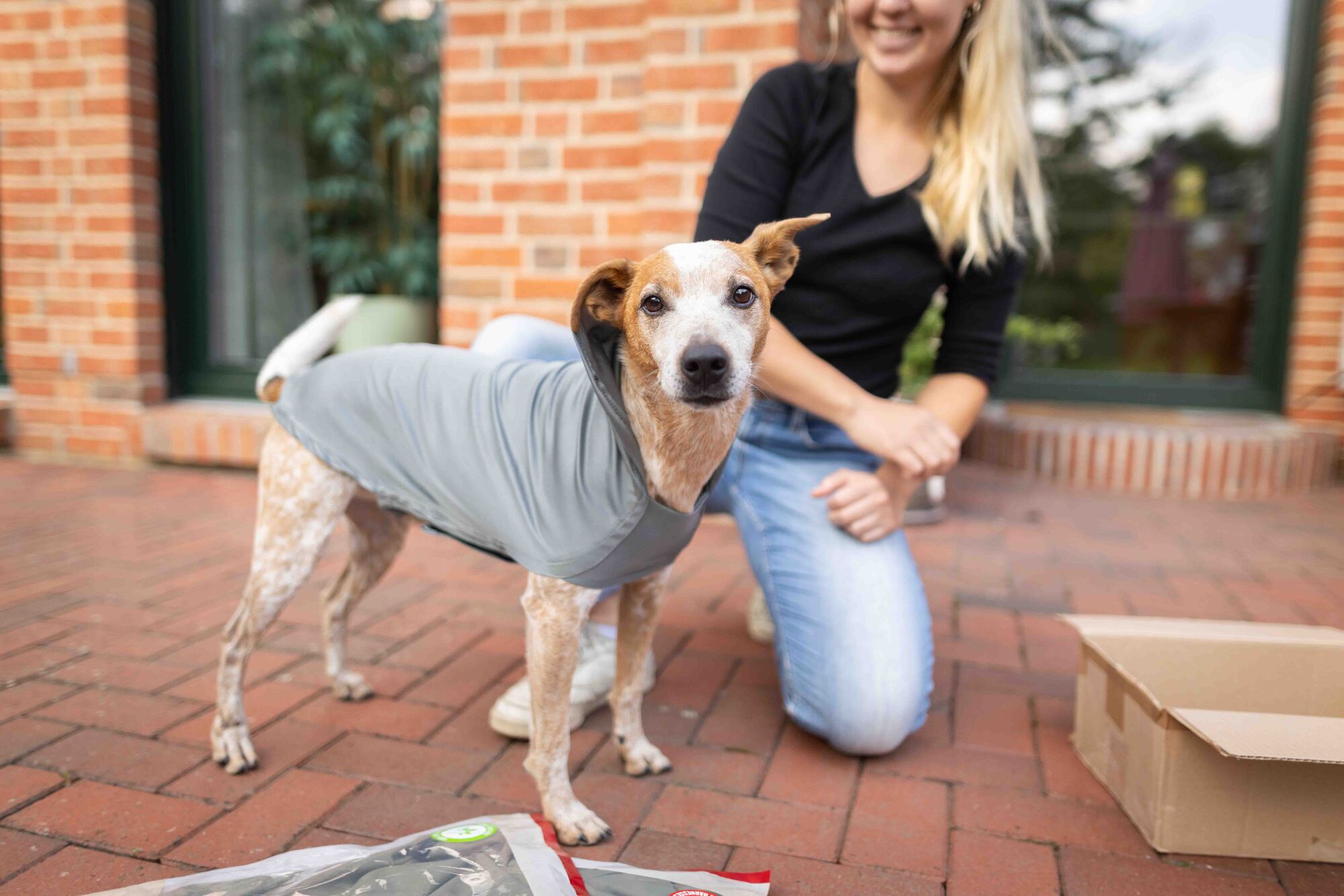 Easy Fit Hundebody WOLTERS cat & dog GmbH