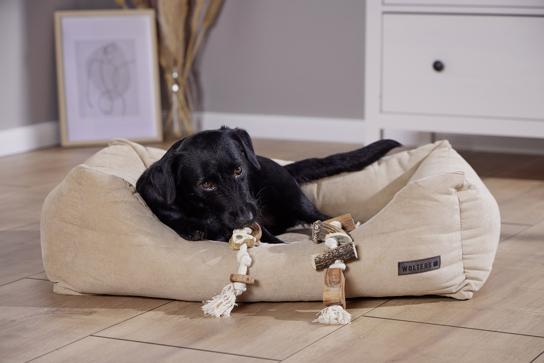 Olivi Geweih-Tau-Spielzeug WOLTERS cat & dog GmbH