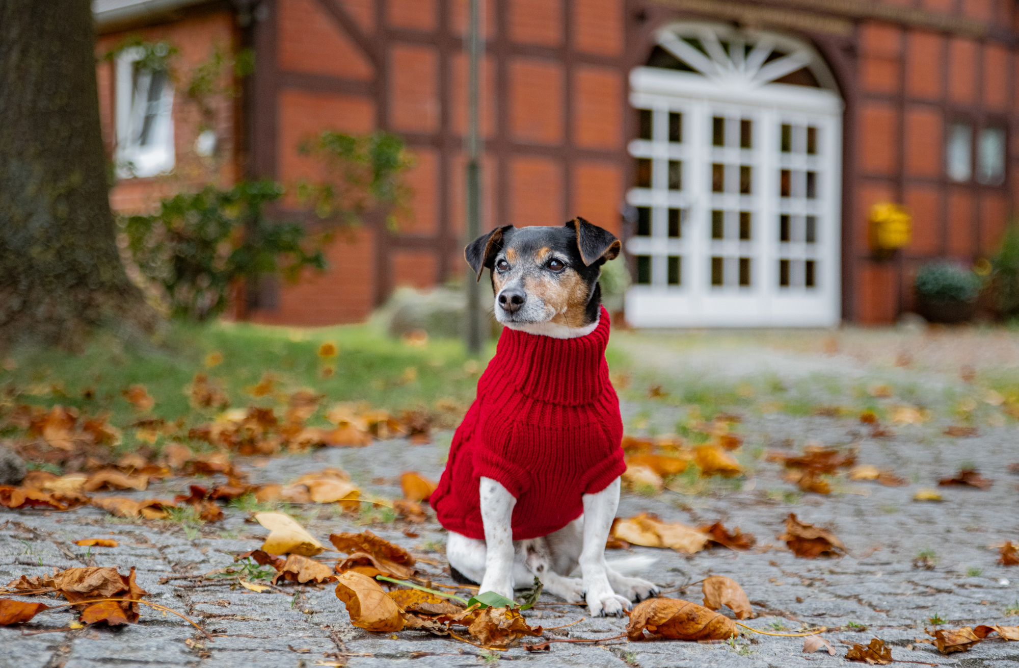 Strickpullover Zopf
