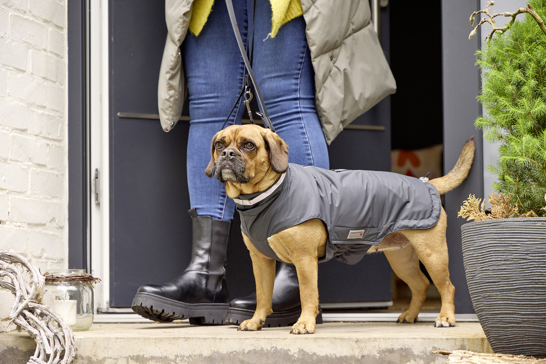  WOLTERS cat & dog GmbH
