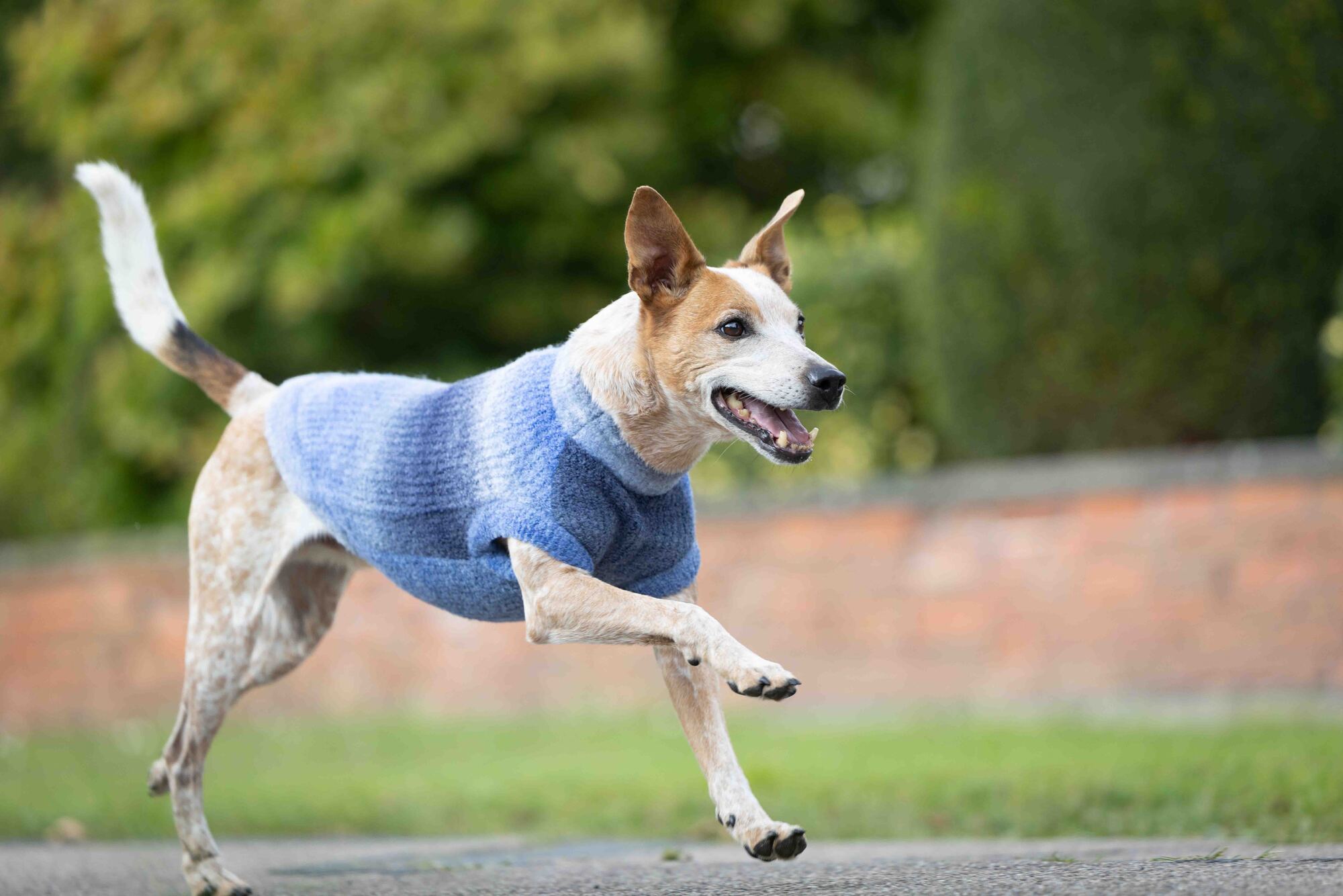 Knitted Jumper Sky