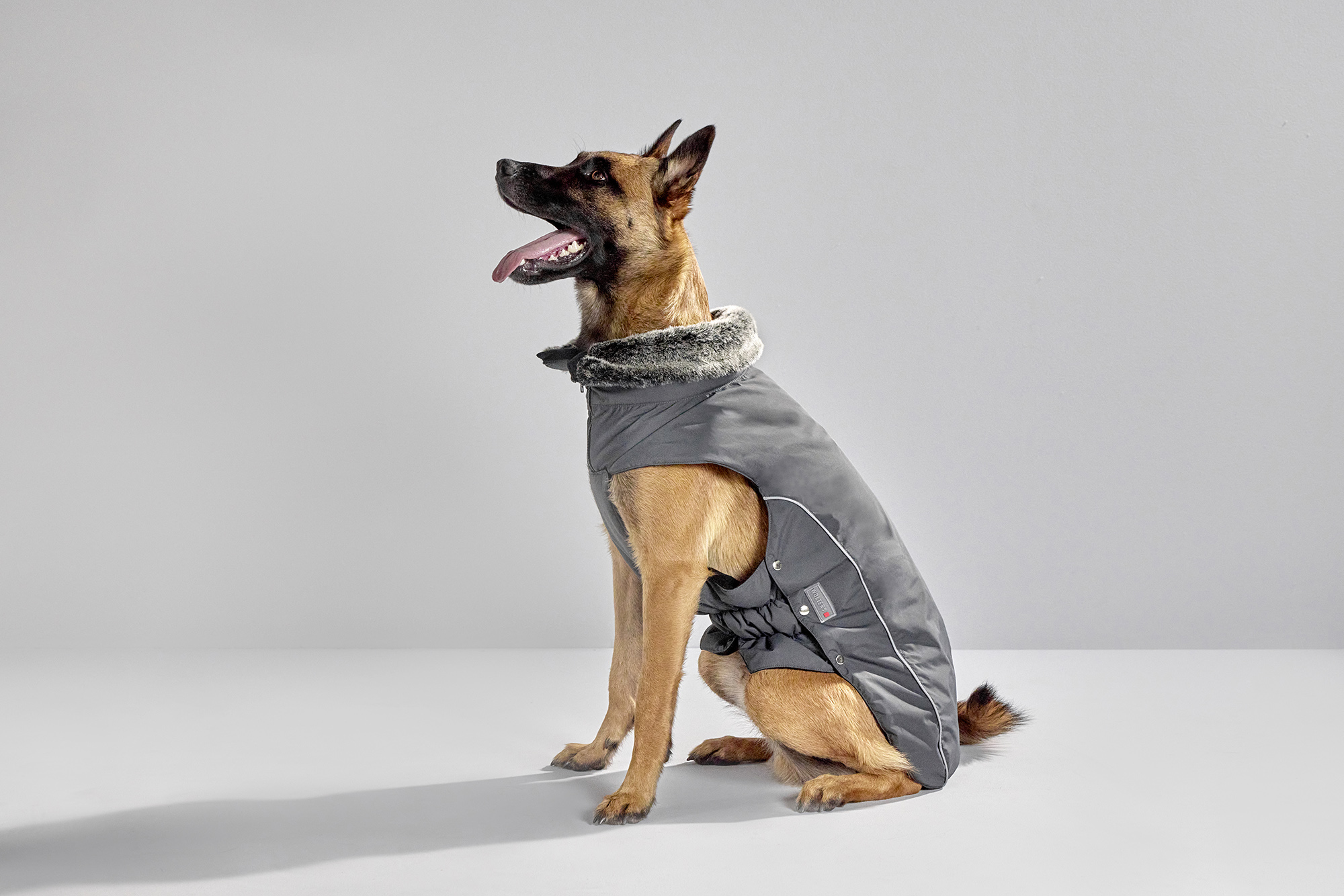  WOLTERS cat & dog GmbH