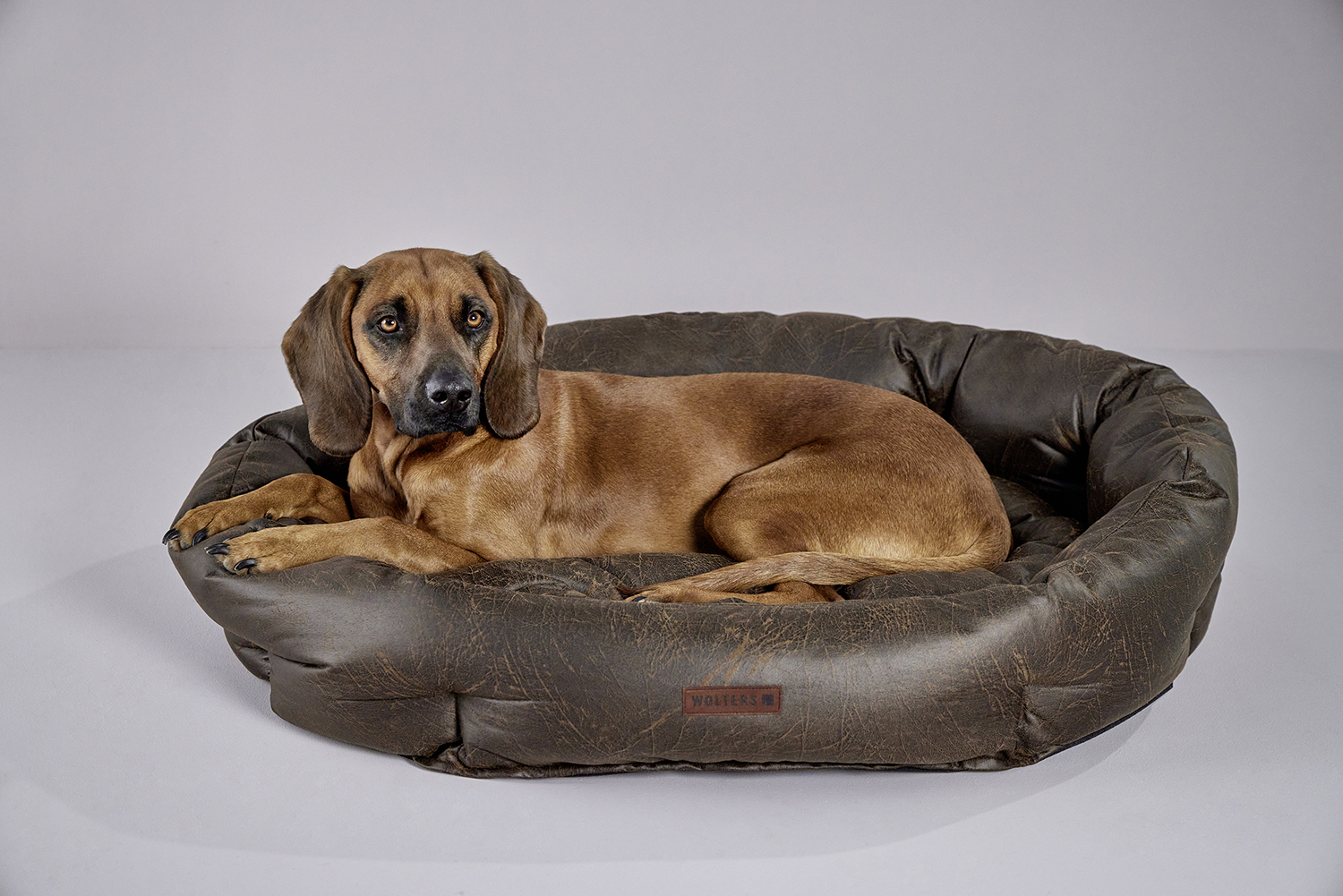  WOLTERS cat & dog GmbH