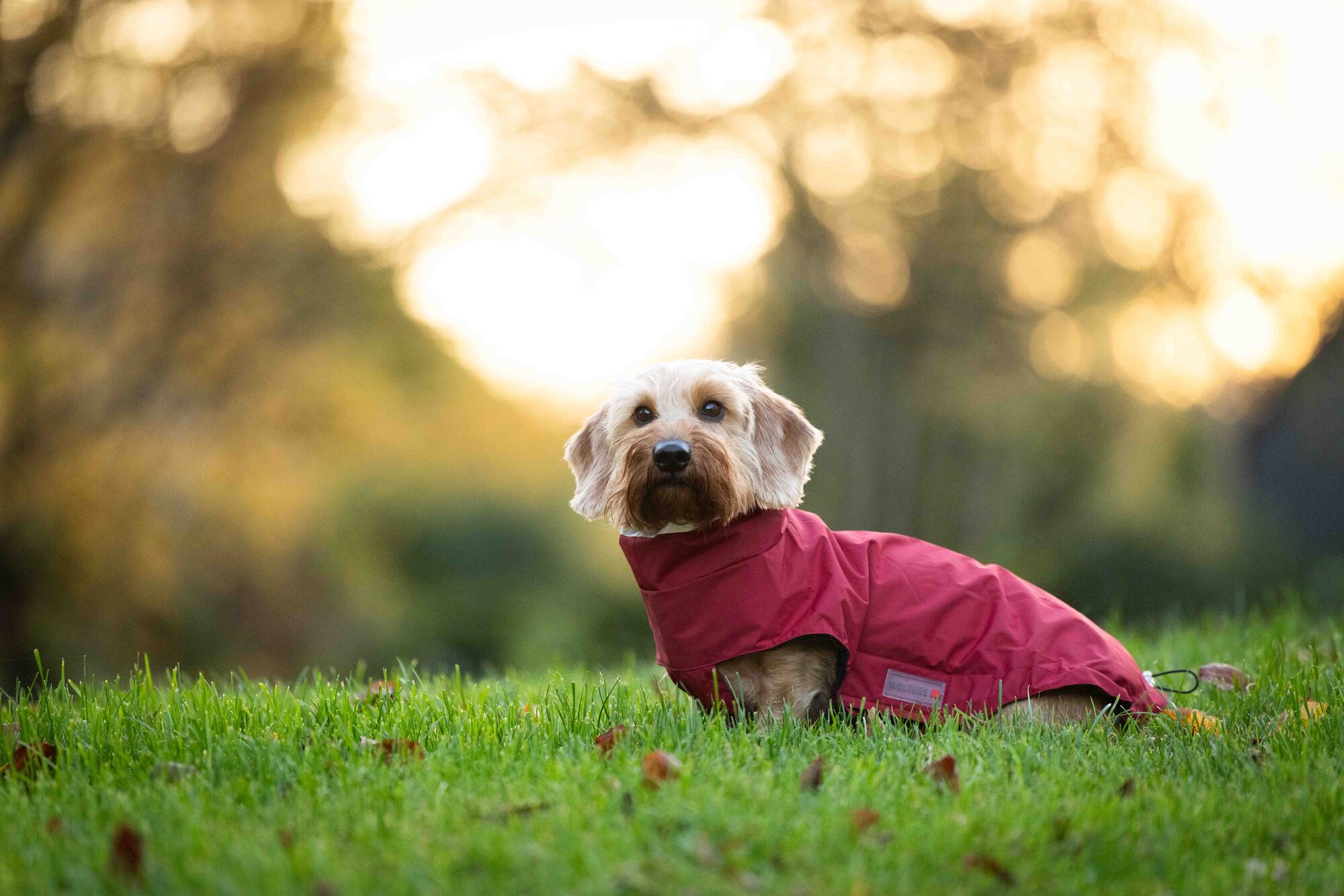 Outdoor Jacket Modern Classic – long back