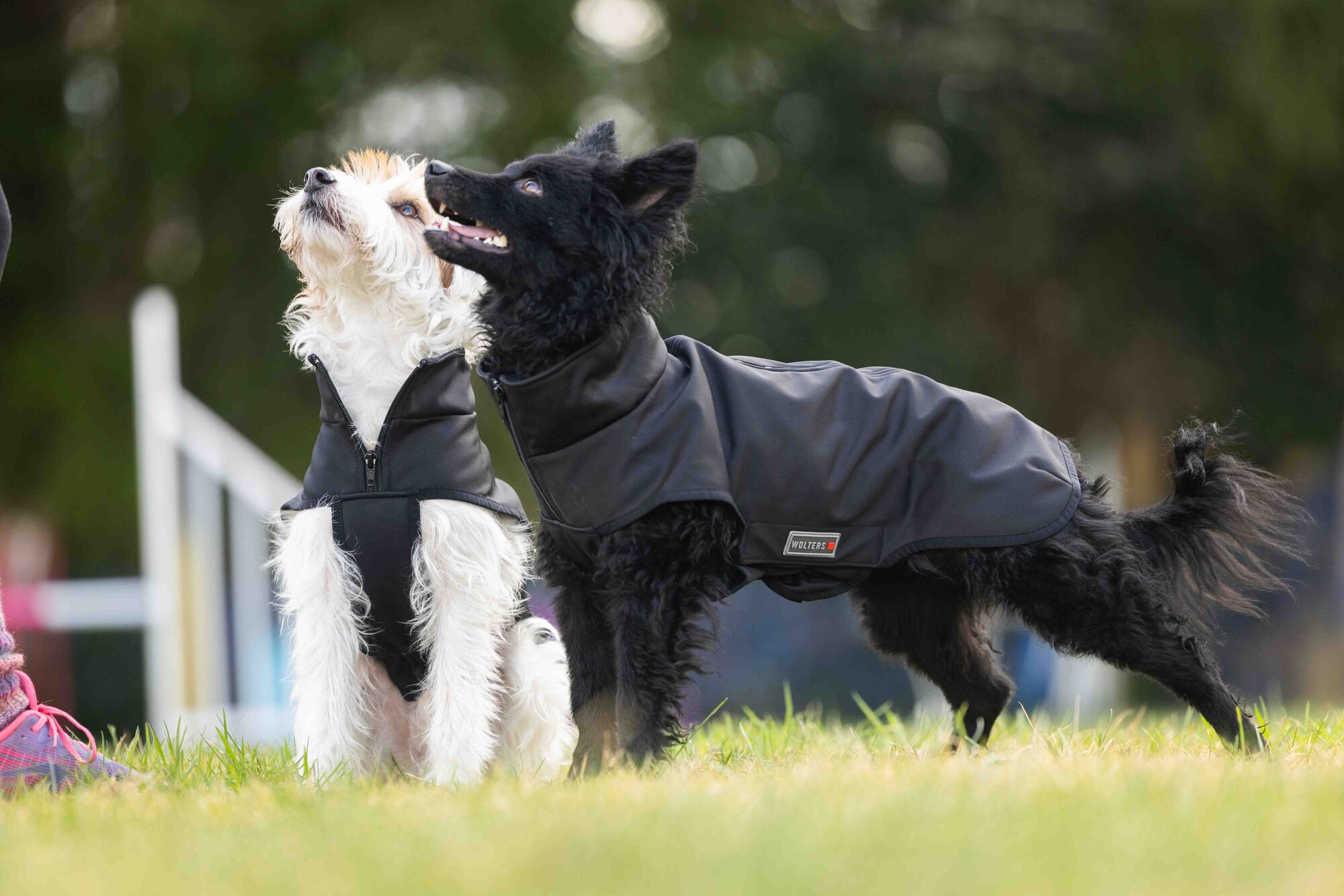 Casual Softshell Jacket