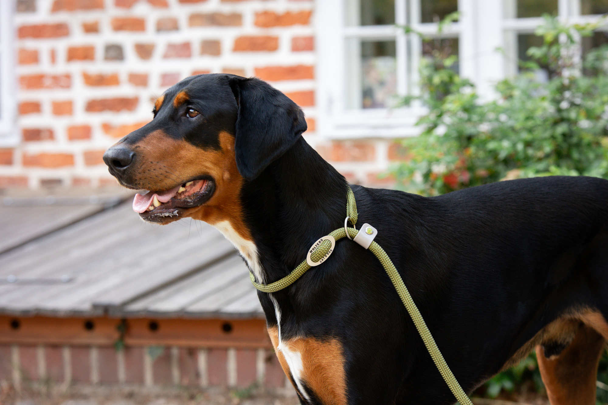 K2-Tauprogramm Moxonleine WOLTERS cat & dog GmbH