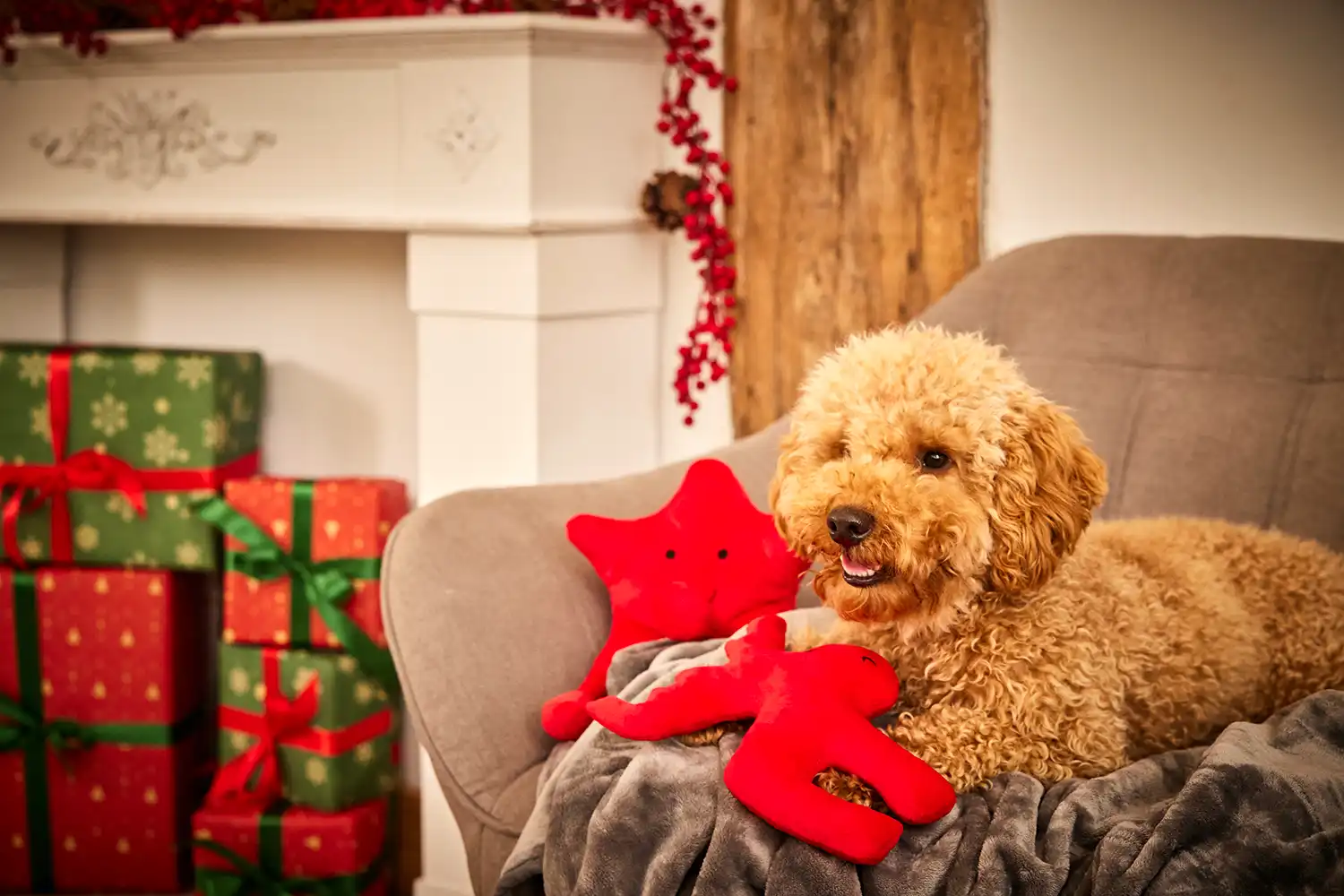 Christmas Range small