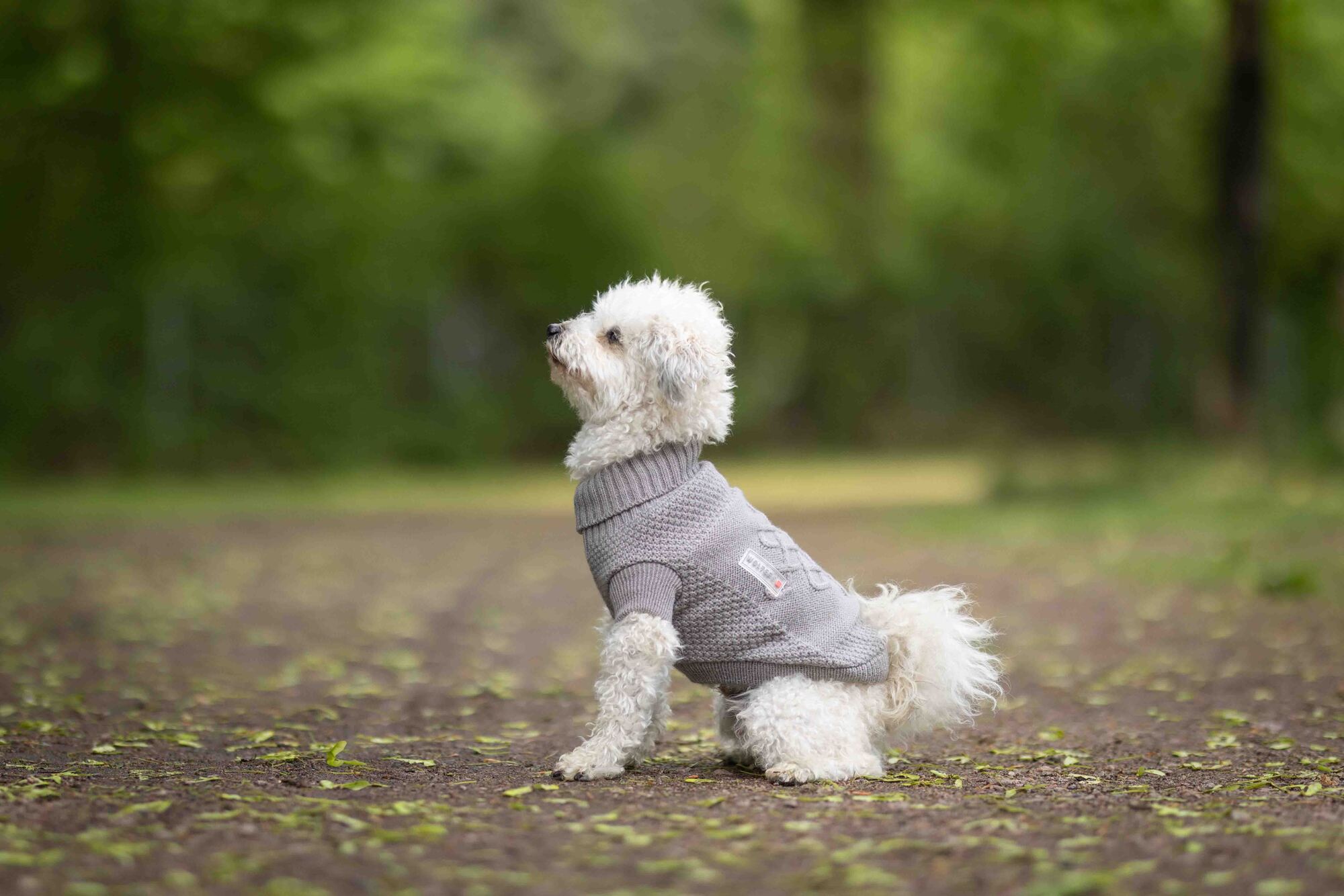 Knitted Jumper Tristan