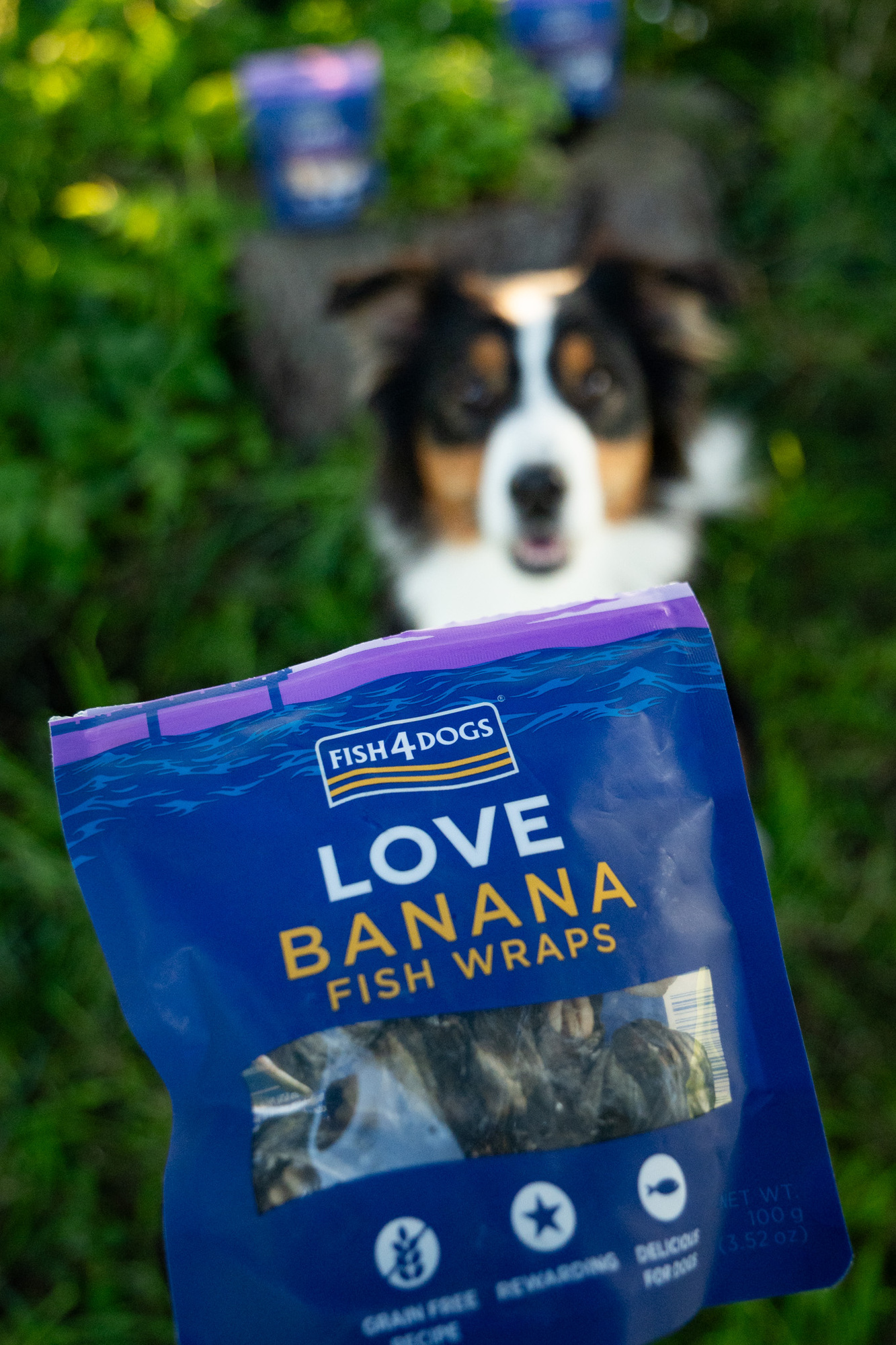 Fish4Dogs Love – Banana Fish Wraps