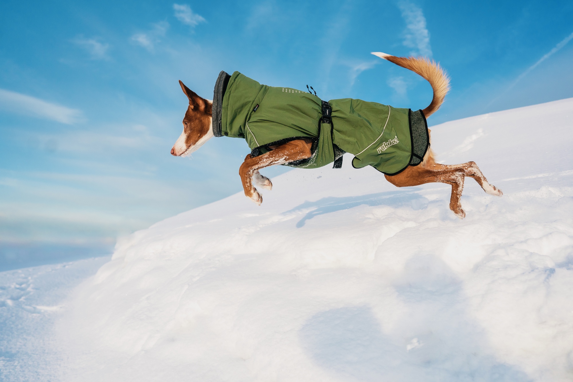 RUKKA Pets Winter Coat Warmup 2.0
