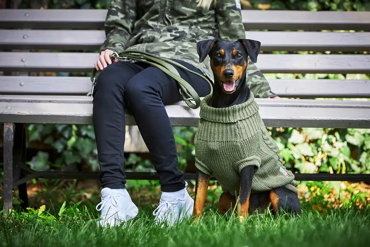 Cable Knit Pullover