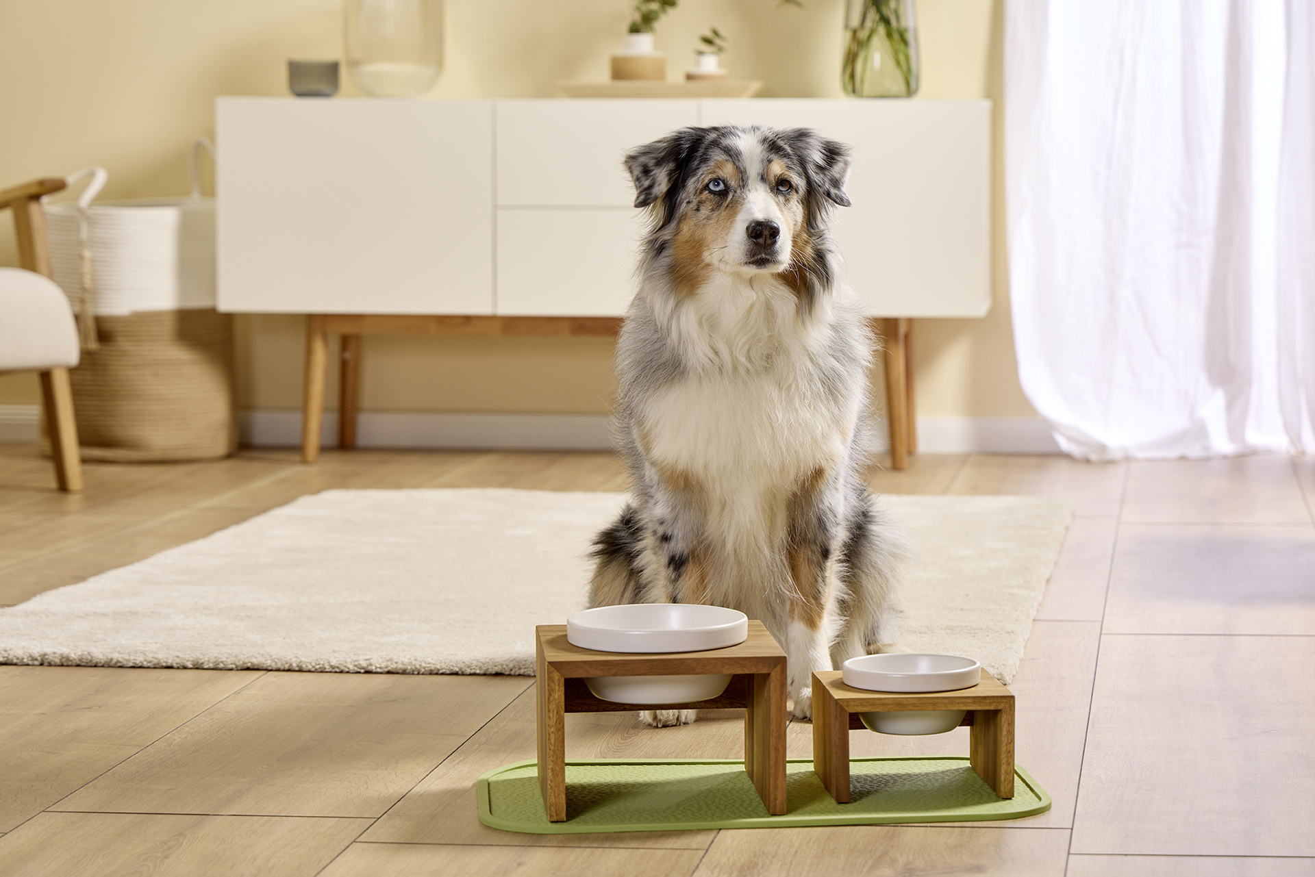  WOLTERS cat & dog GmbH