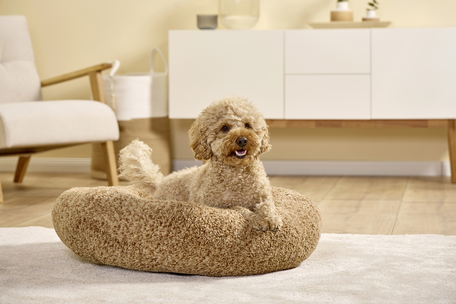 Sweet Dreams dog basket