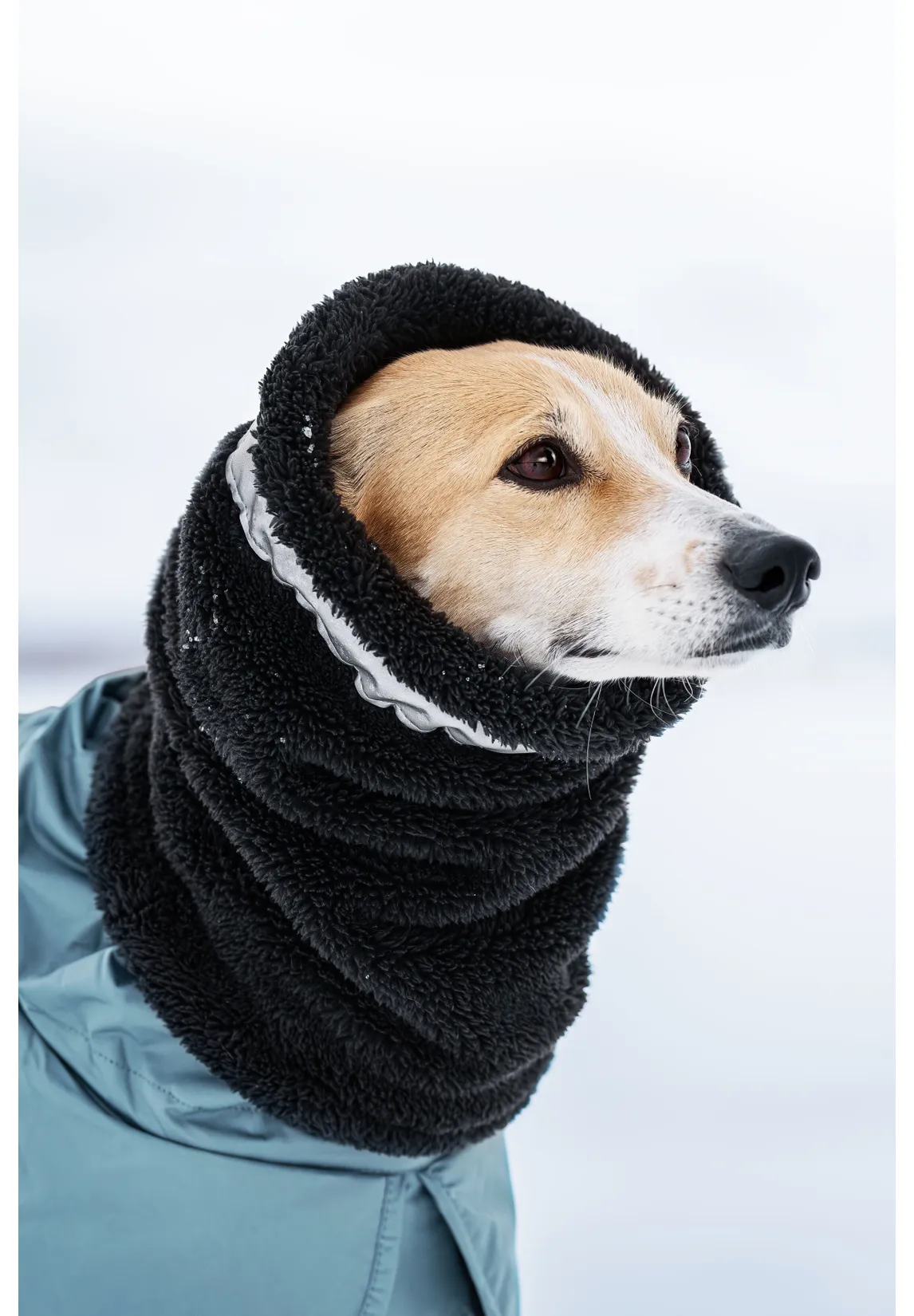 RUKKA Pets Plush Scarf