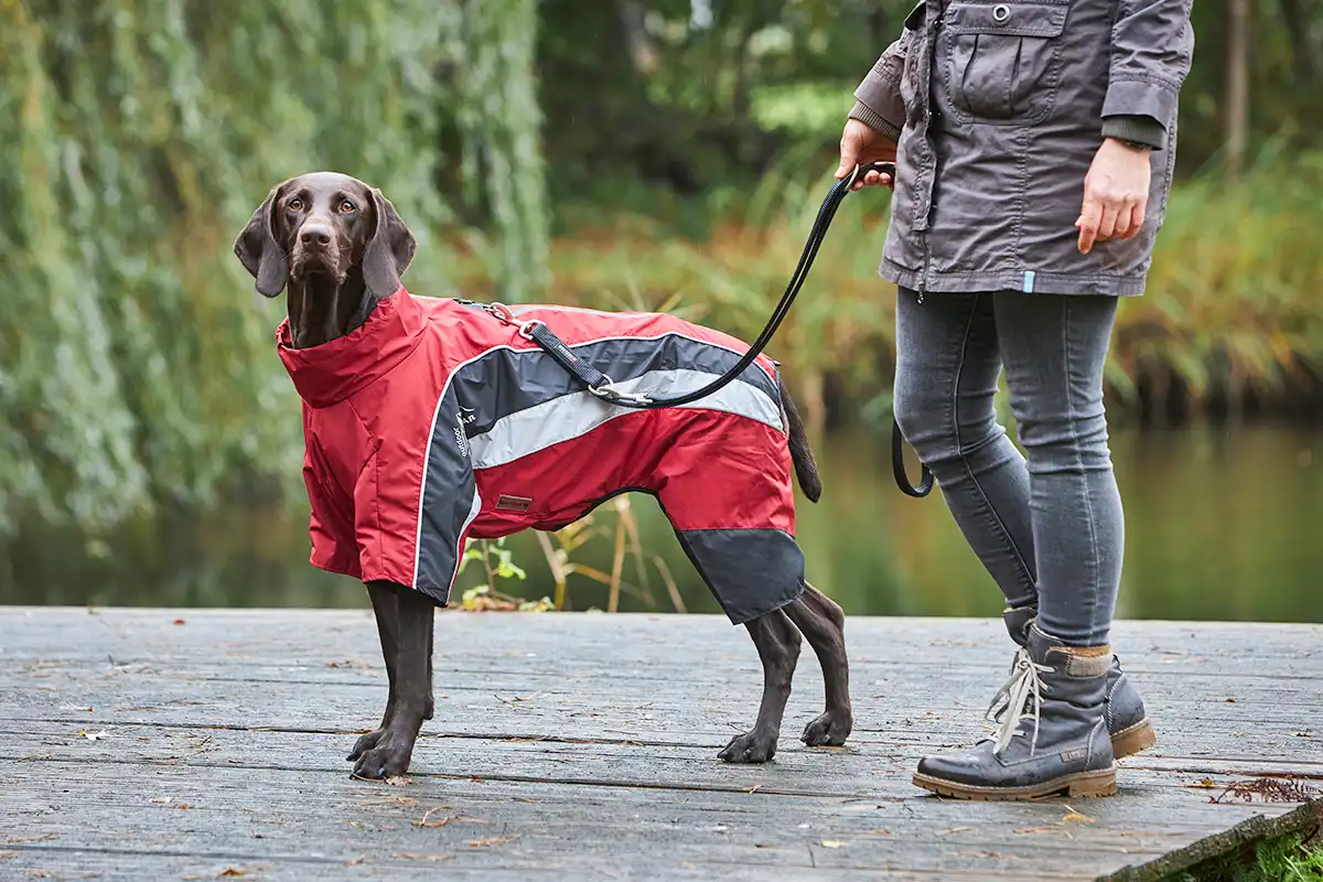 Dogz-Wear rain suit