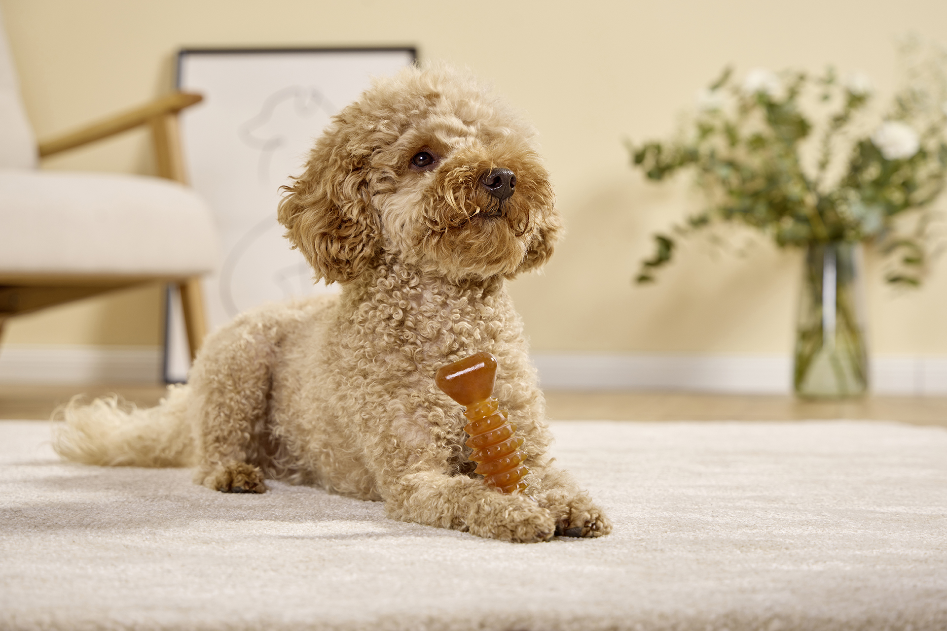 Pure Nature Dental Herz-Knochen WOLTERS cat & dog GmbH