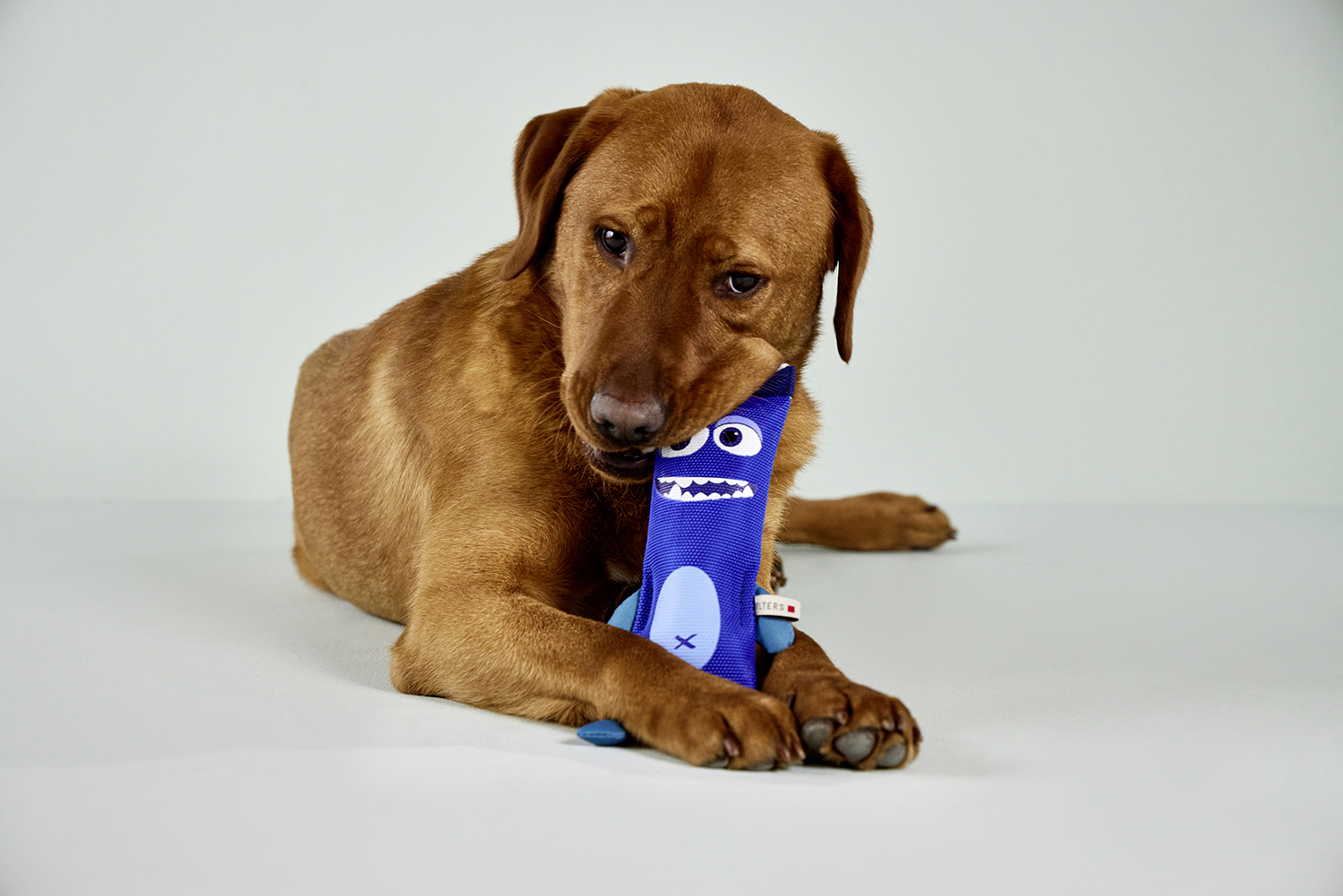  WOLTERS cat & dog GmbH