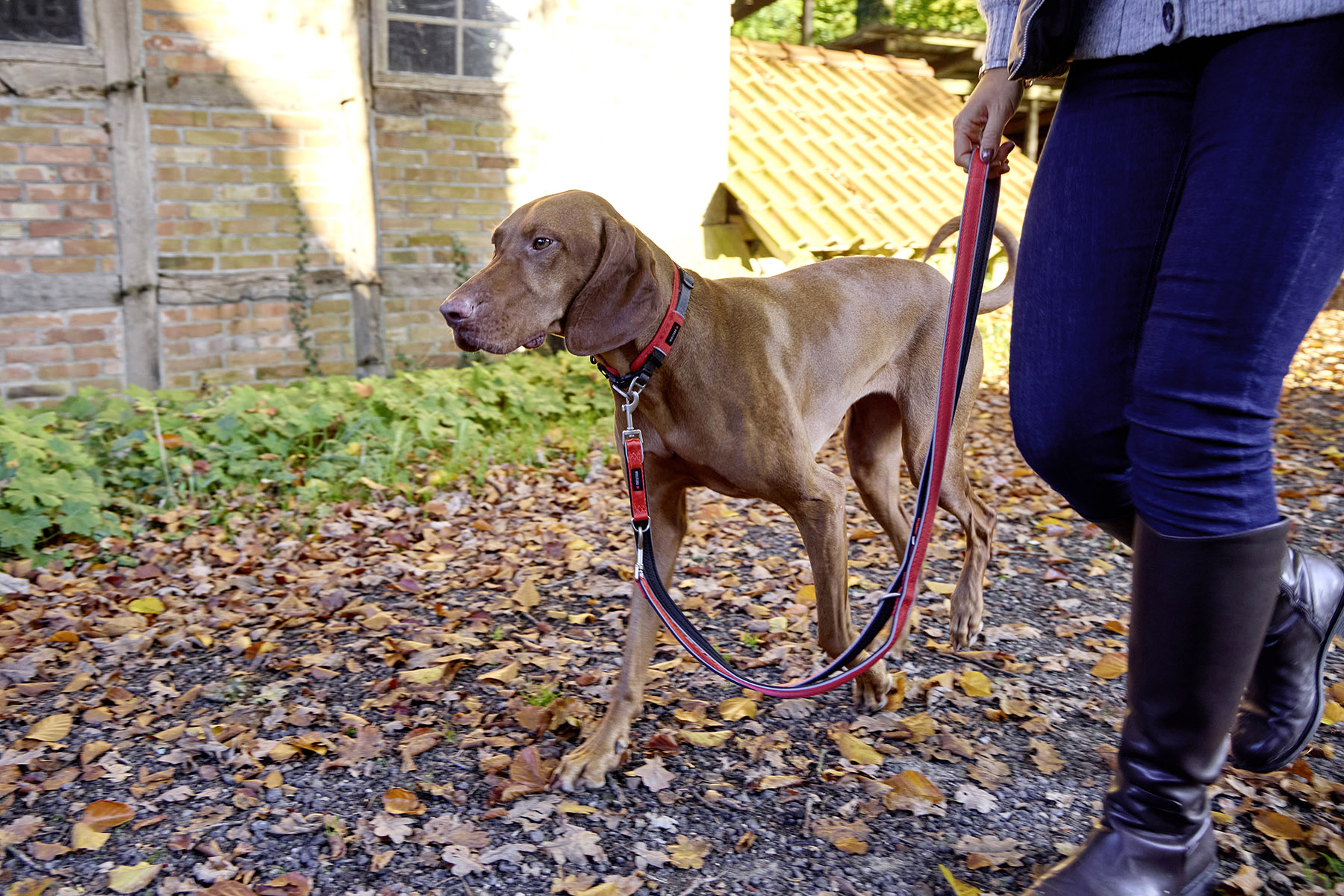 Active Pro Comfort dog lead