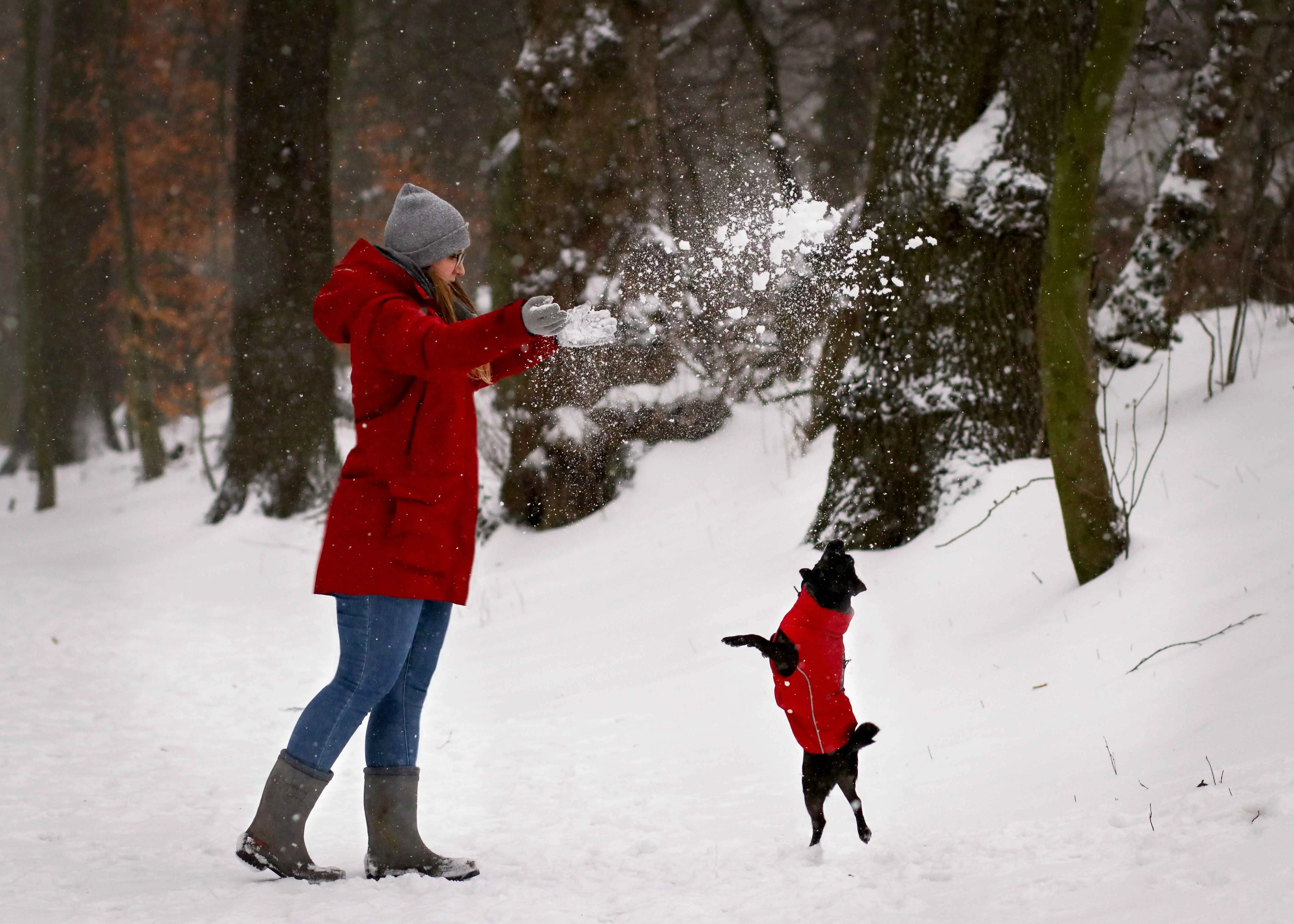 Lieblingsprodukte für Hunde mit breiter Brust und flacher Schnauze
