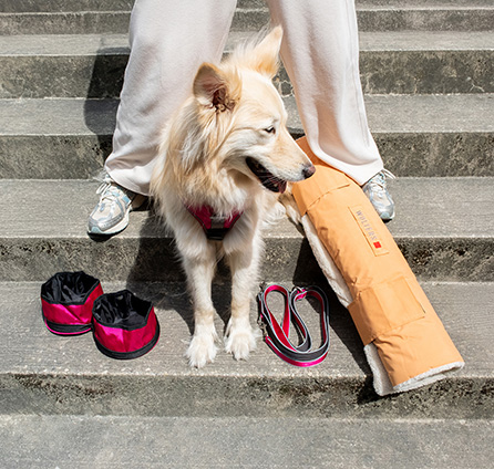 Tierbedarf WOLTERS cat & dog GmbH