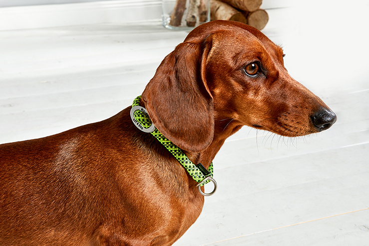 Everest Rope Program Slip Collar