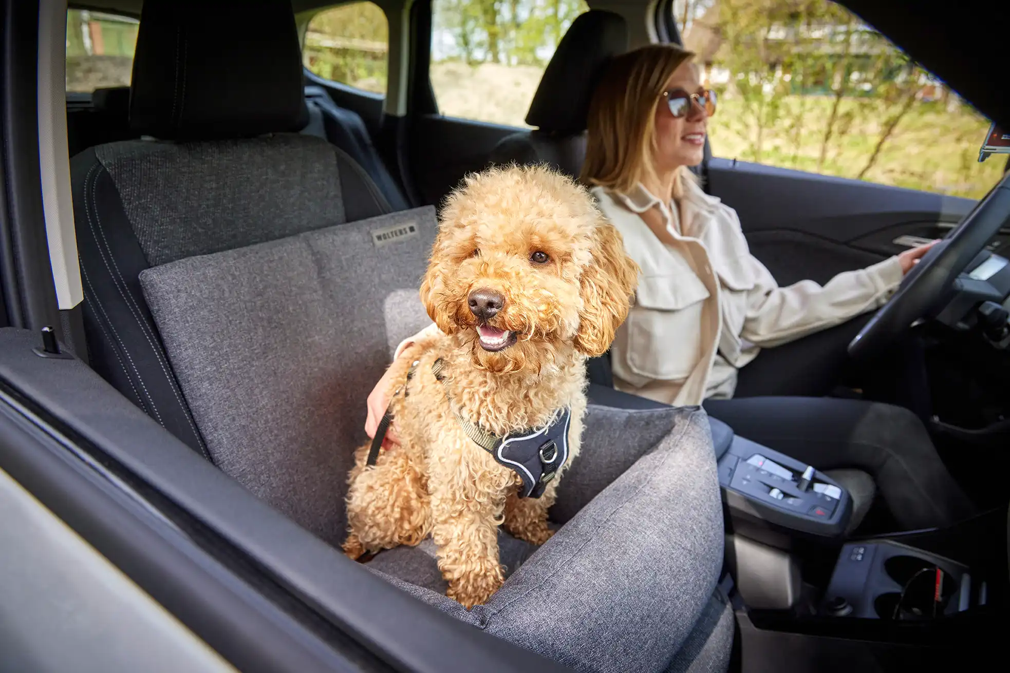 Dog Traveling Car Seat