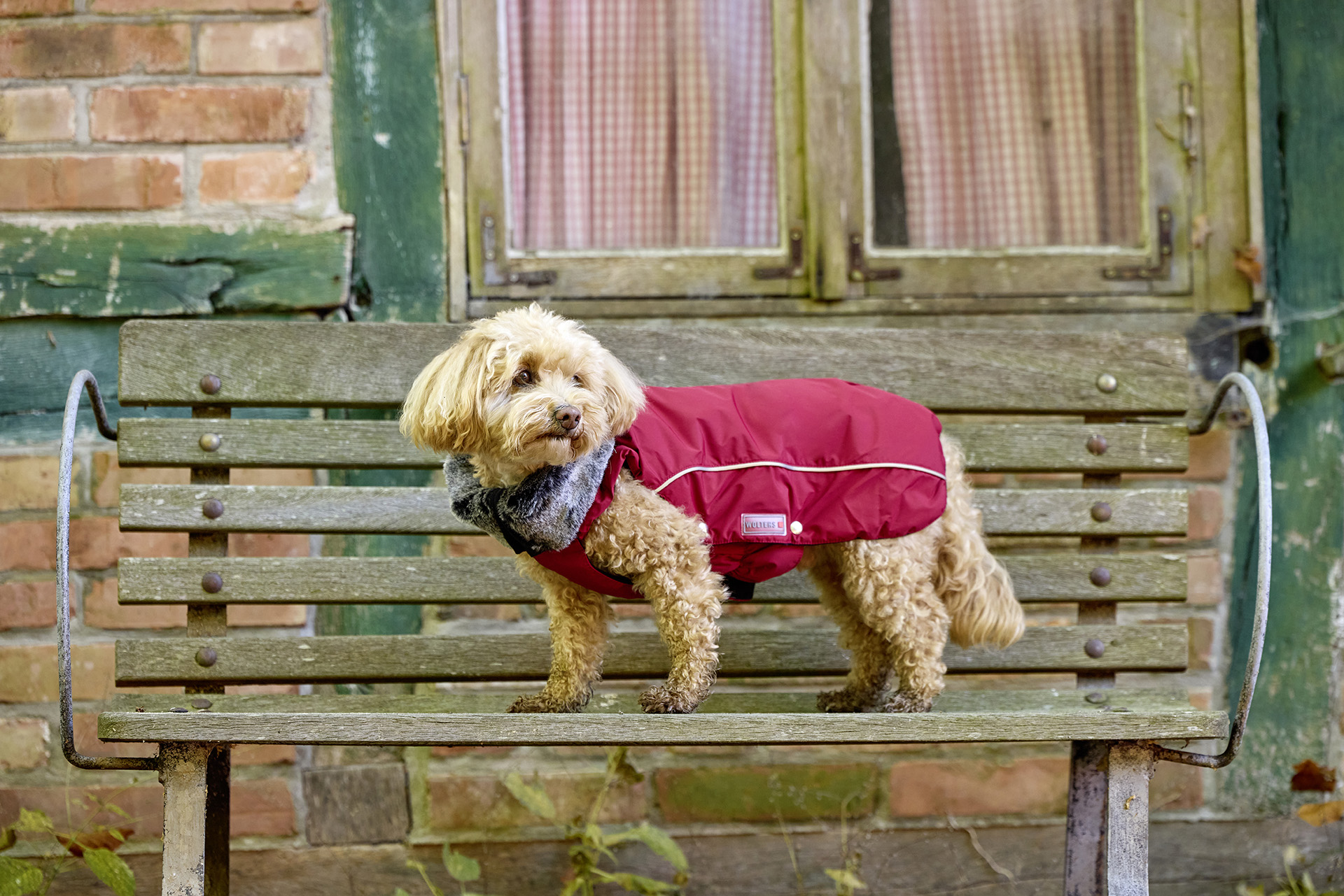 Amundsen Winter Coat