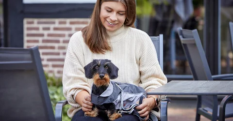 Unbeständiges Frühlingswetter? Kein Problem, mit den Übergangsjacken für Hunde!