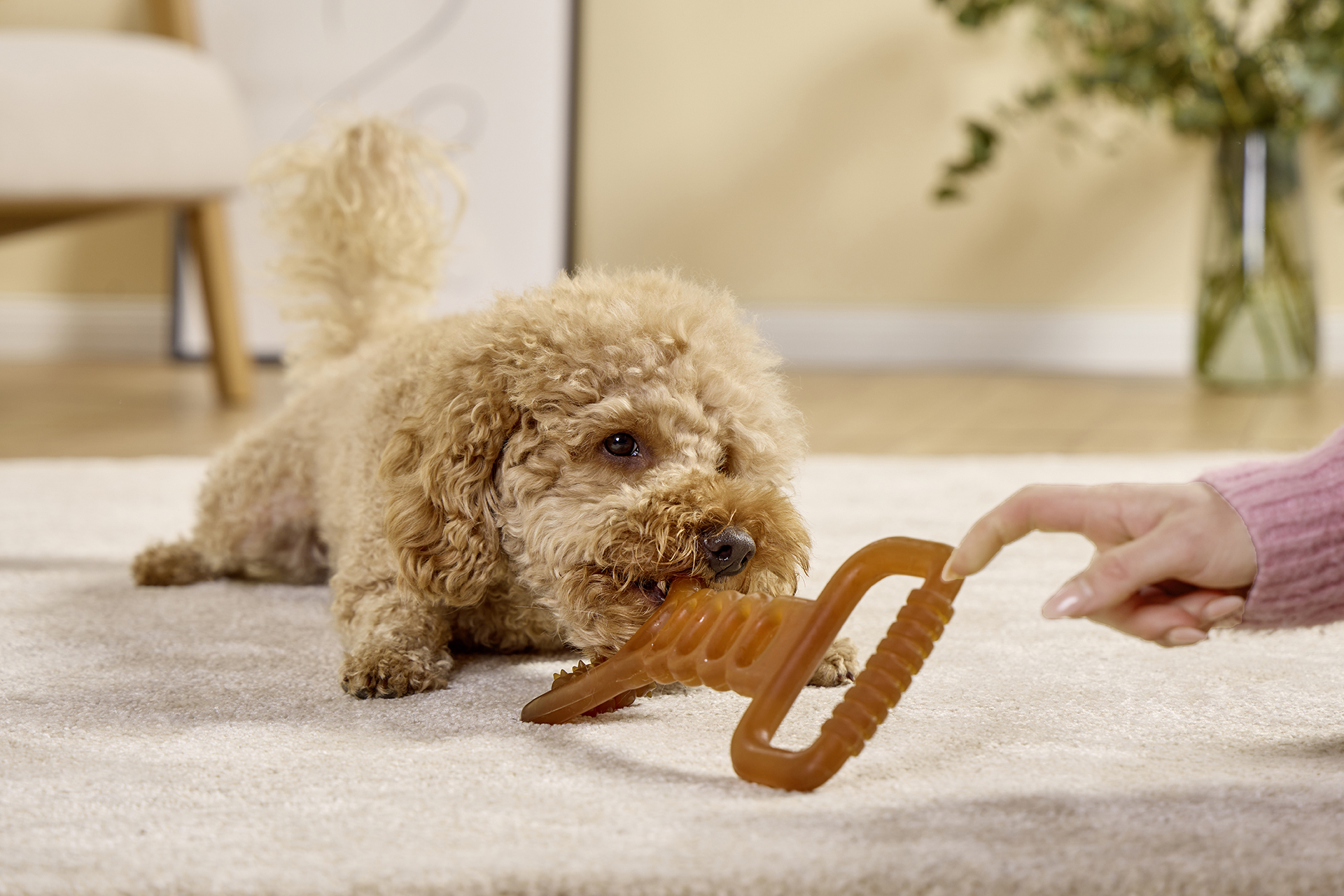 Pure Nature Fitness Tug Toy