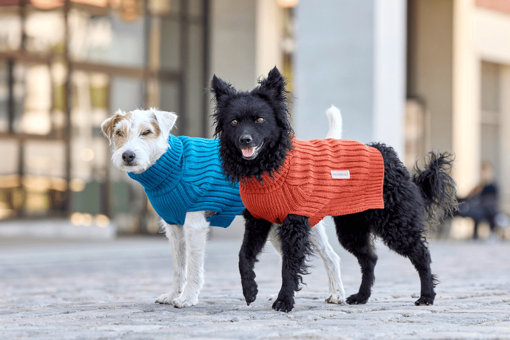 WOLTERS Strickpullover Ribsty