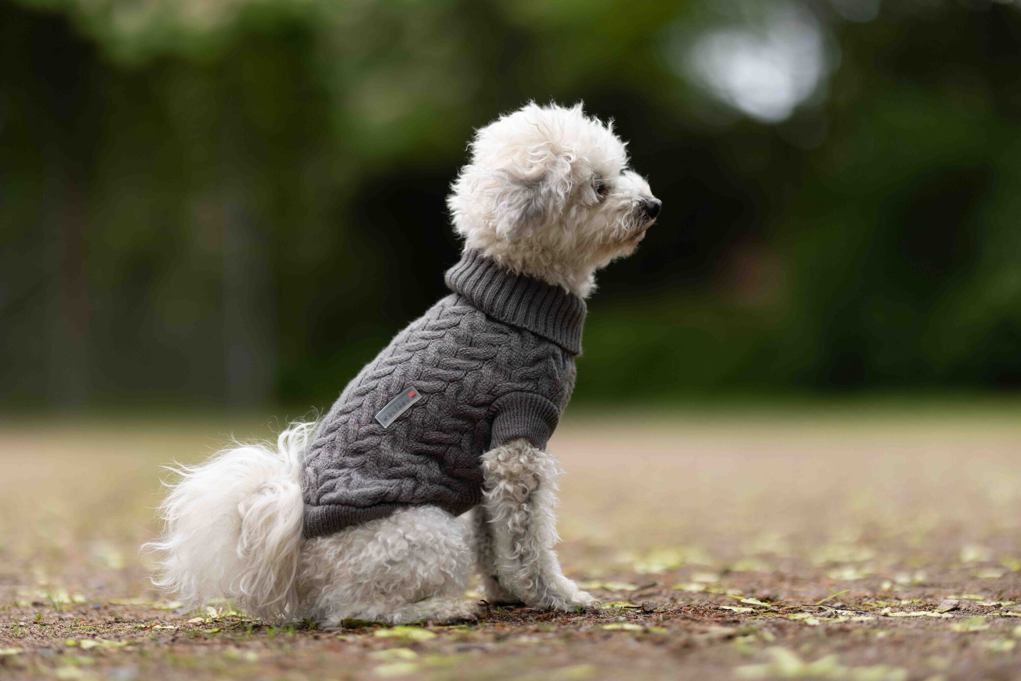 Strickpullover Isolde