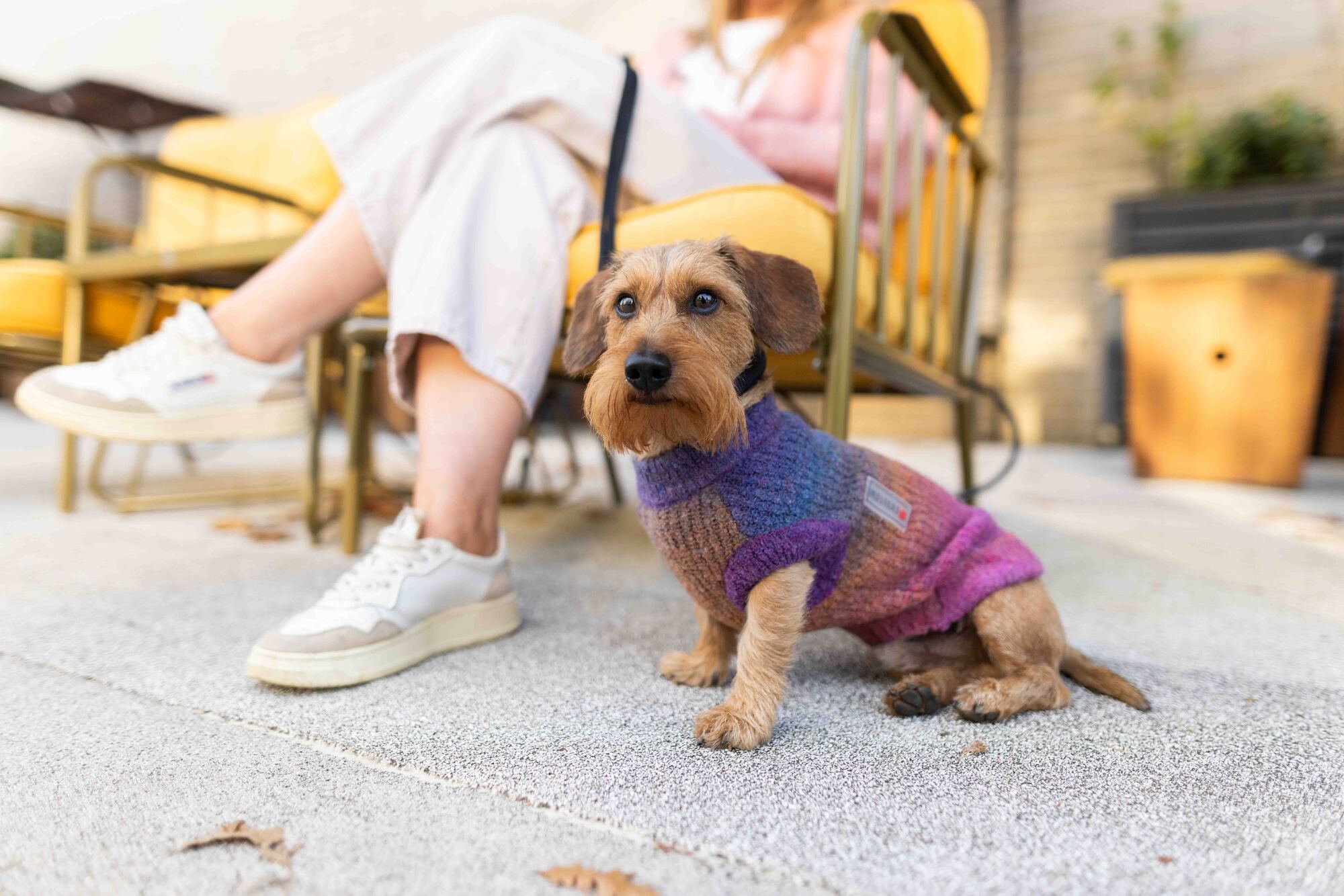 Knitted Jumper Rainbow