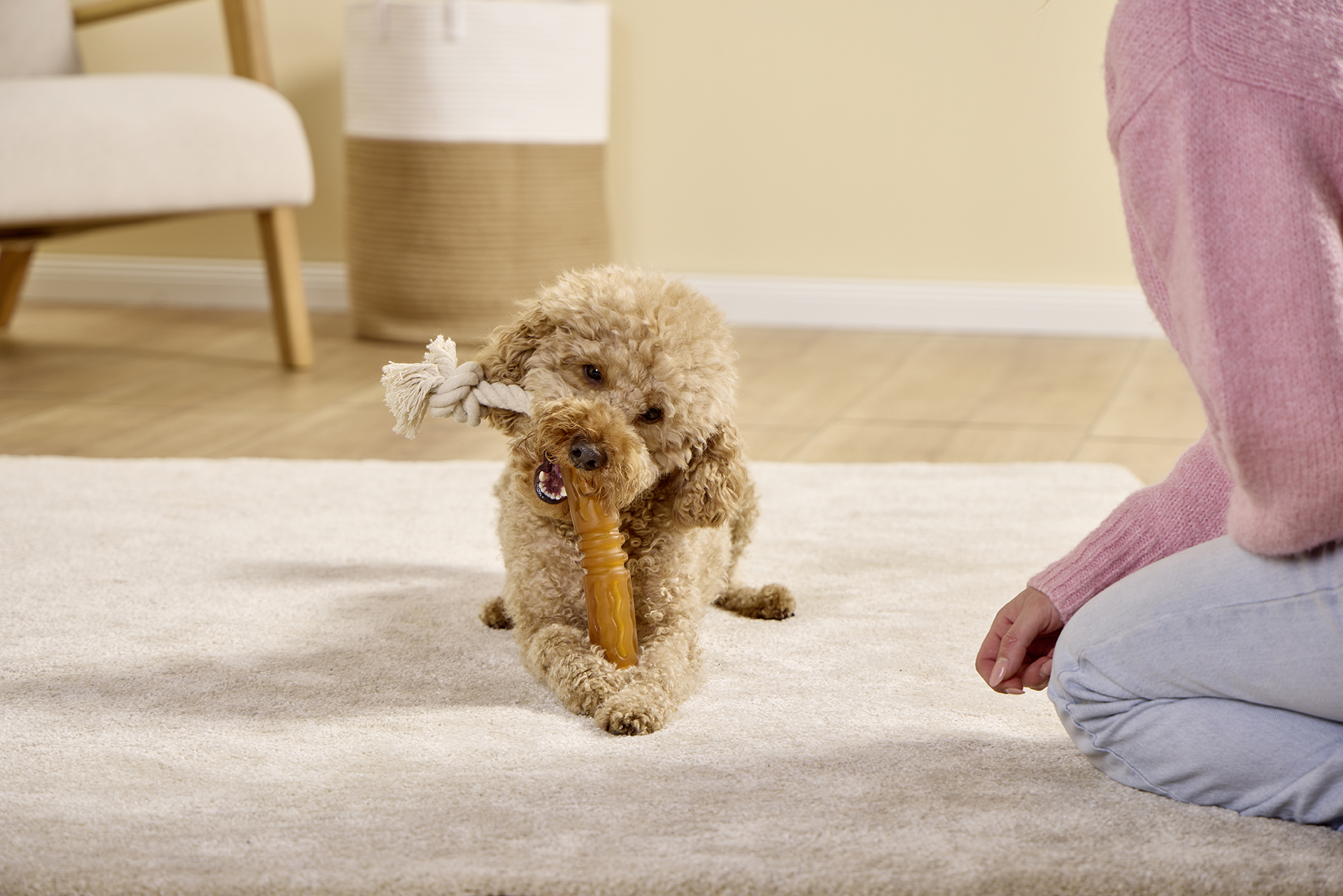 Pure Nature Flosser Fetch & Tug Toy on a Rope