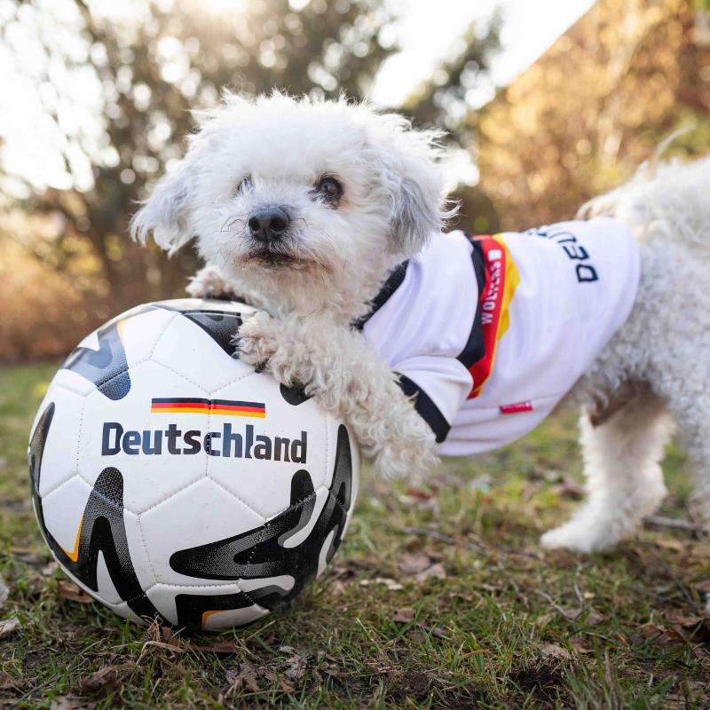 Tierbedarf WOLTERS cat & dog GmbH