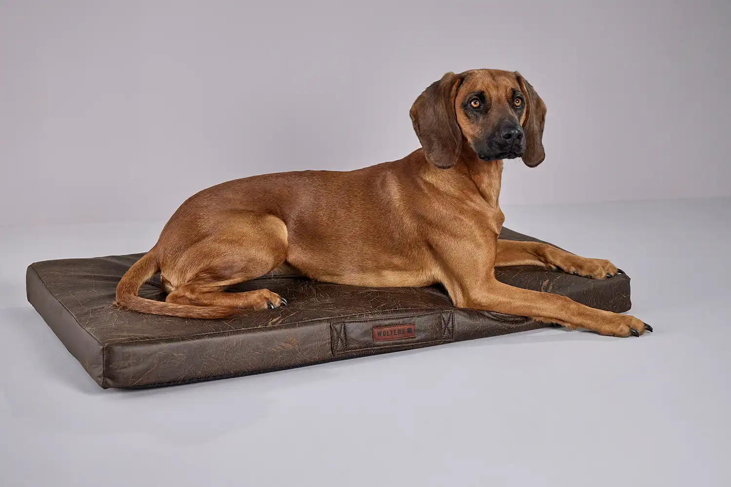 Vintage Dog Mattress