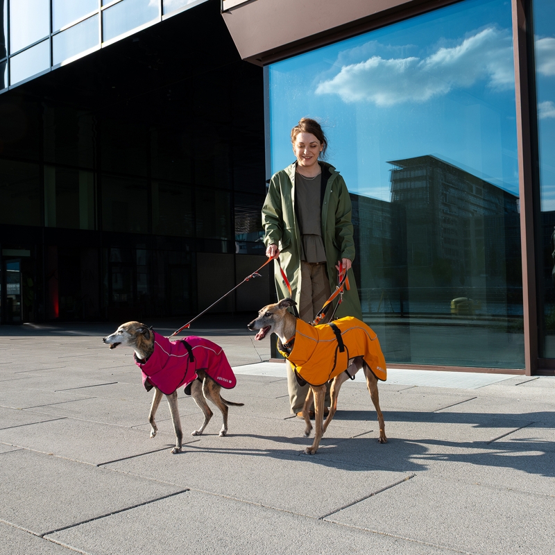 Tierbedarf WOLTERS cat & dog GmbH