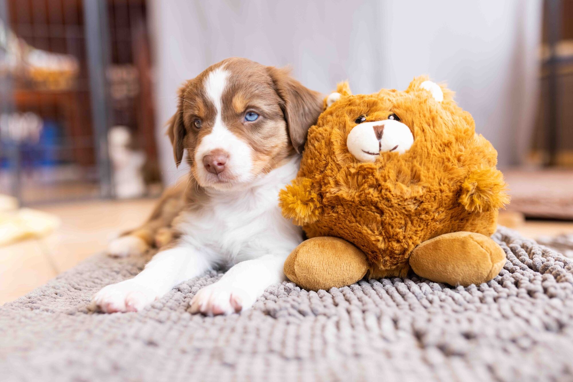 Plush Ball