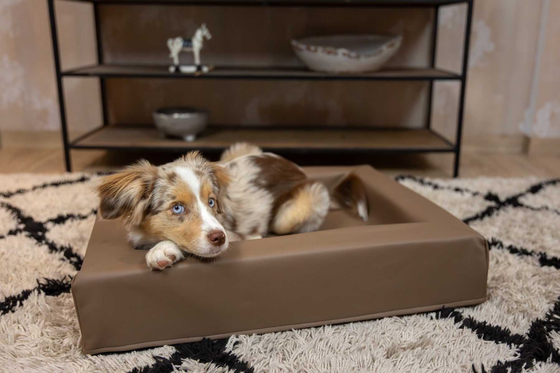 Lucky-Pet Hundebett Kvadro Visco