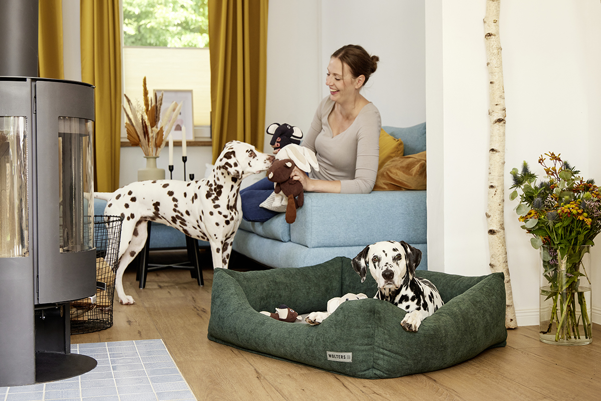 Classic dog lounge bed