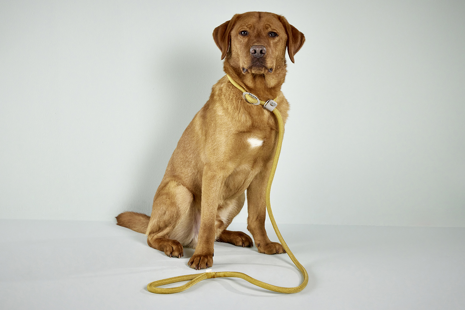 K2-Tauprogramm Moxonleine WOLTERS cat & dog GmbH