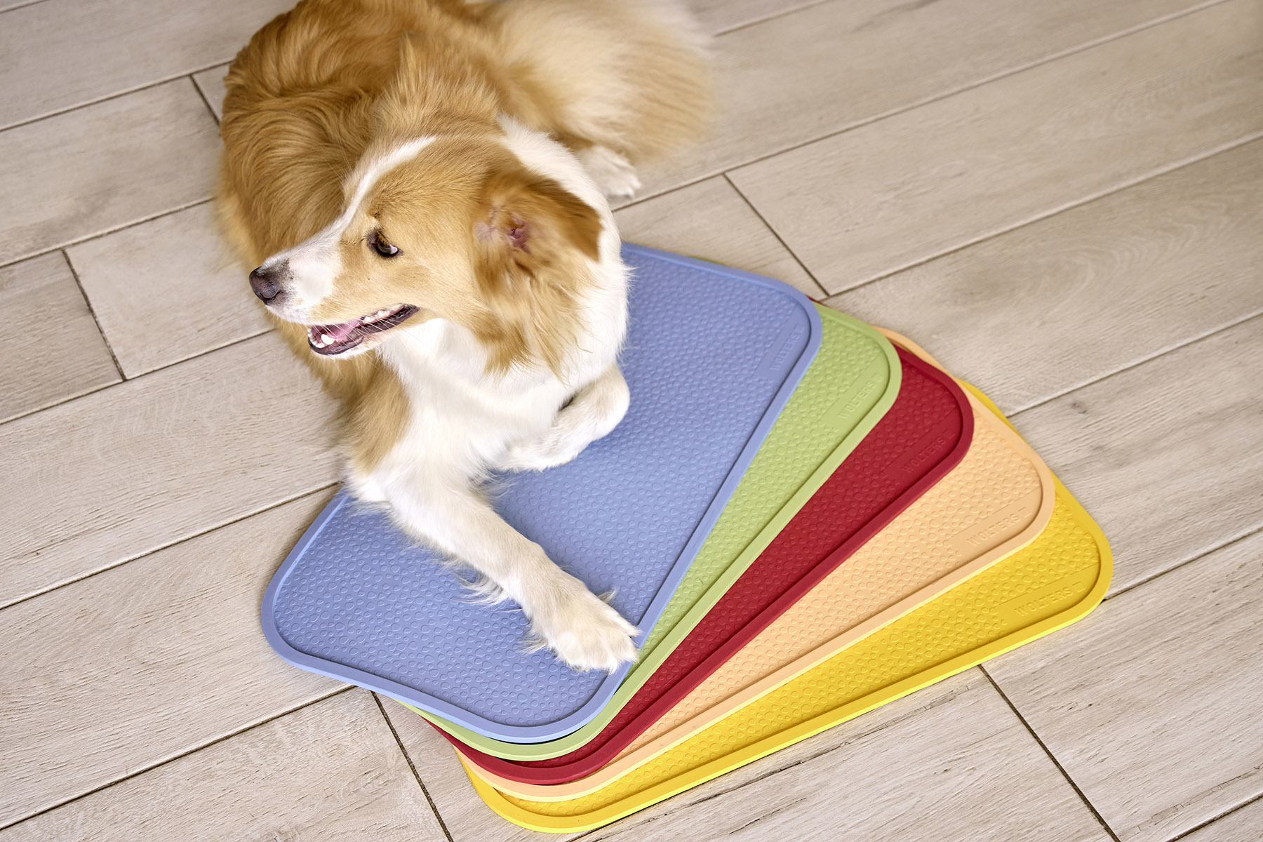 Bowl Mat Rainbow