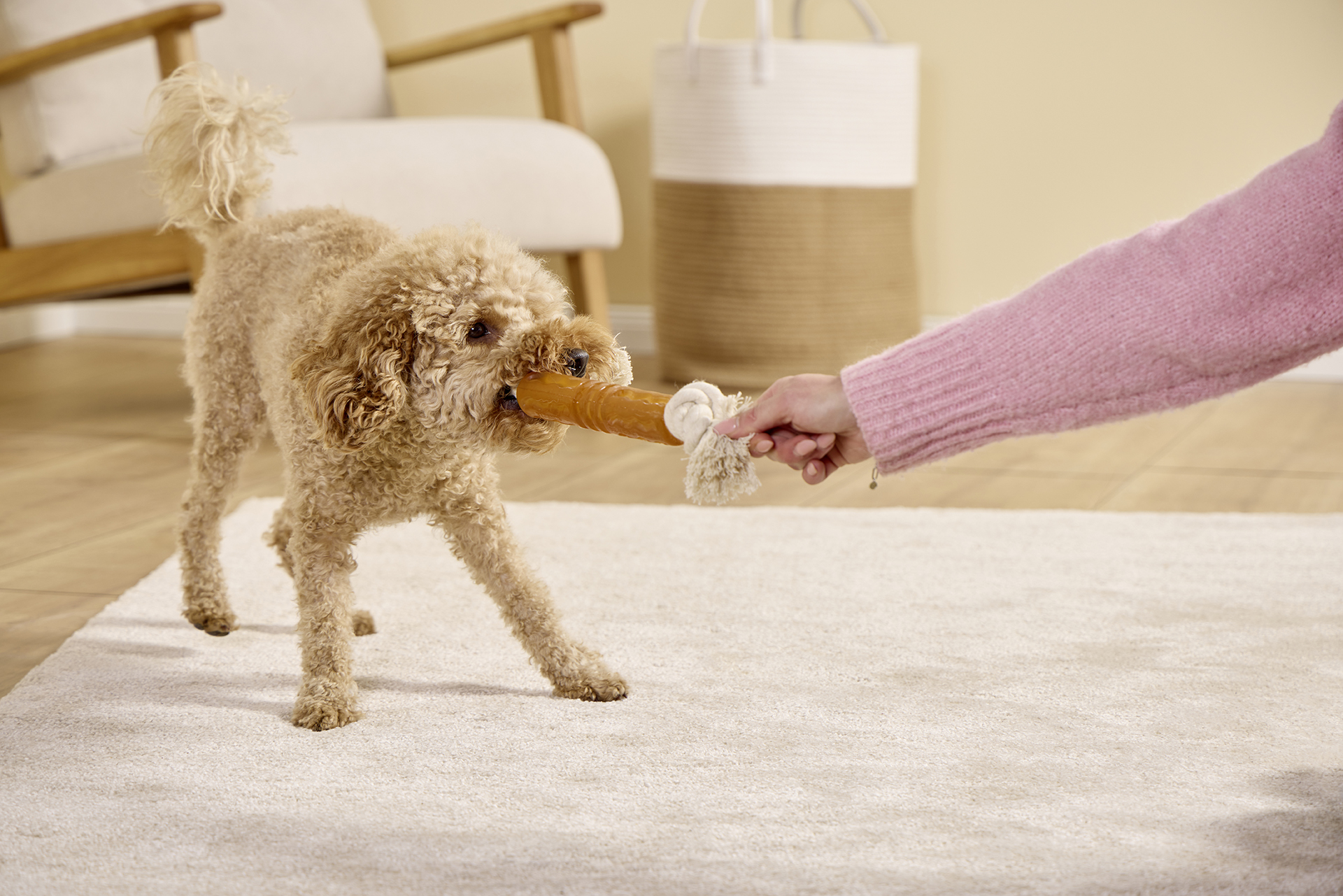 Pure Nature Flosser Fetch & Tug Toy on a Rope