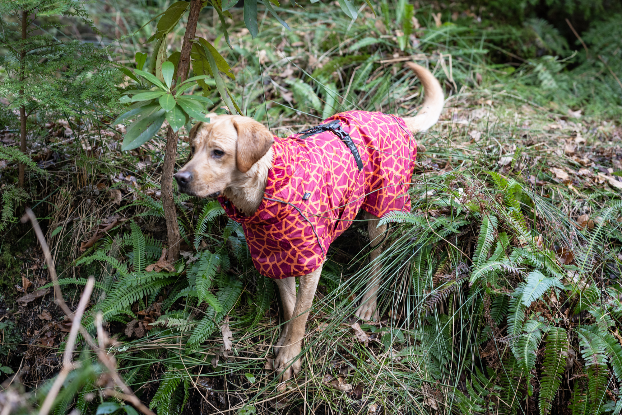 RUKKA Pets Raincoat Hayton Warm